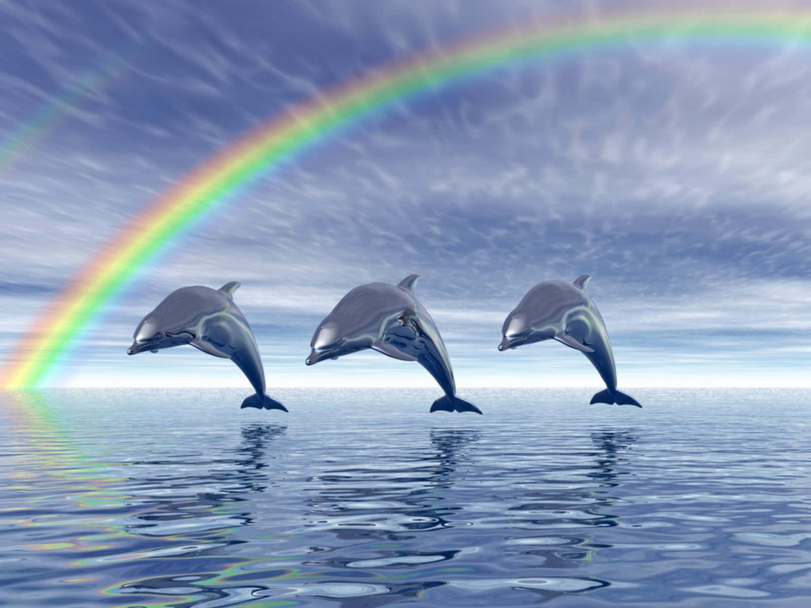 Cute Dolphin Rainbow Visual Art Wallpaper