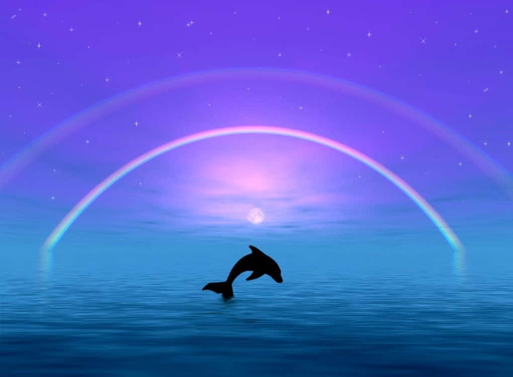 Download Cute Dolphin Silhouette Wallpaper 