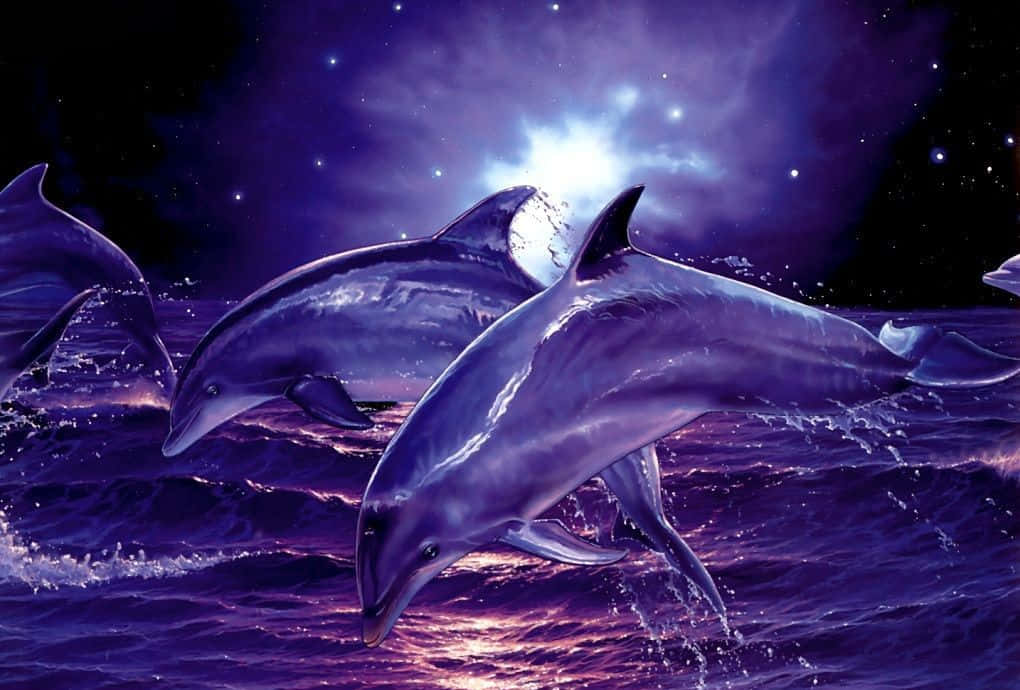 Søde delfiner computergenereret tapet Wallpaper