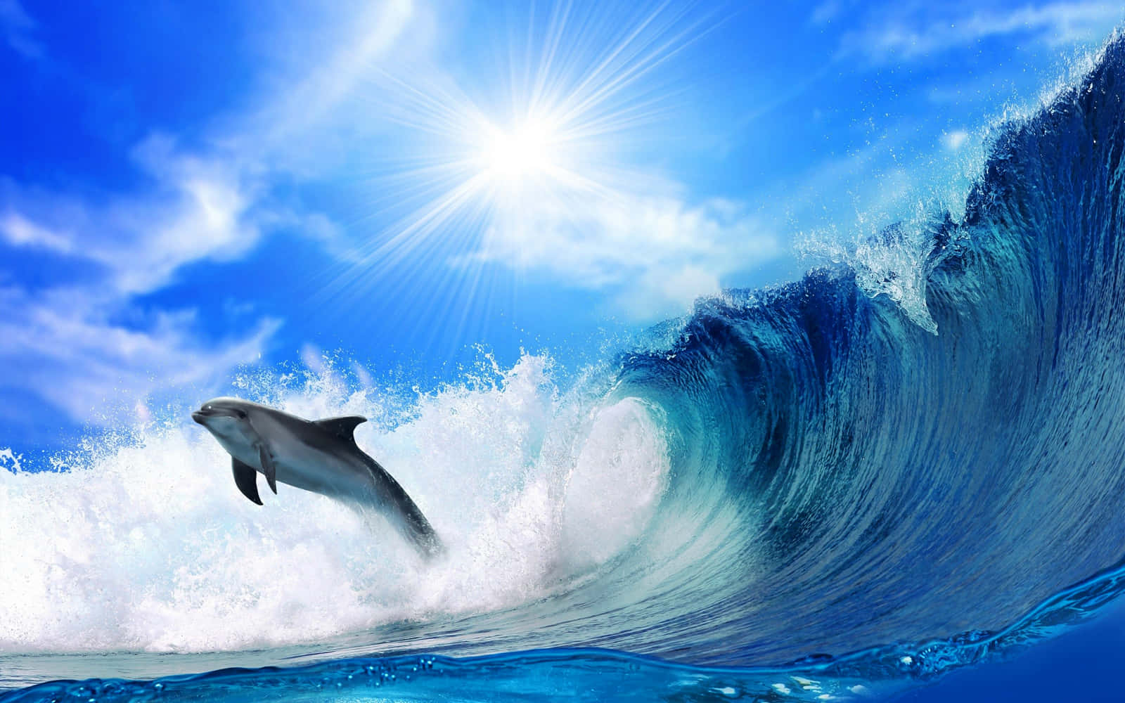 Imágende Lindos Delfines Saltando Fuera De Una Ola