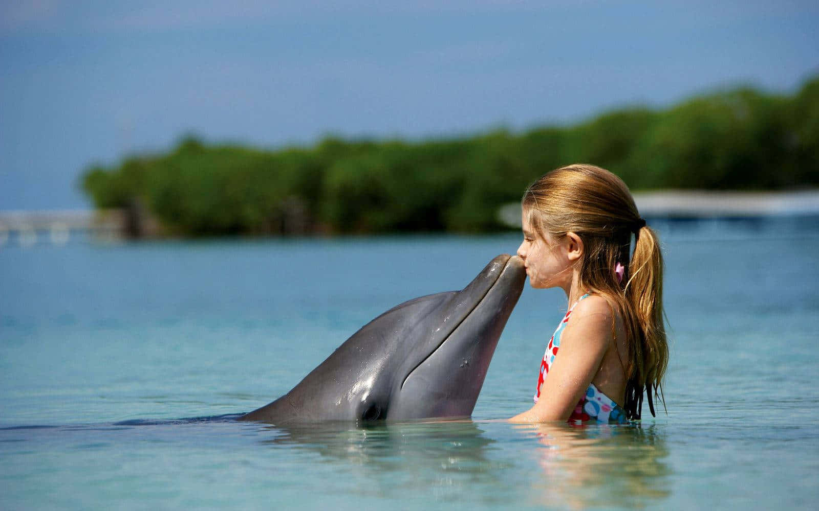Søde Delfiner Kysse Lille Pige Billede