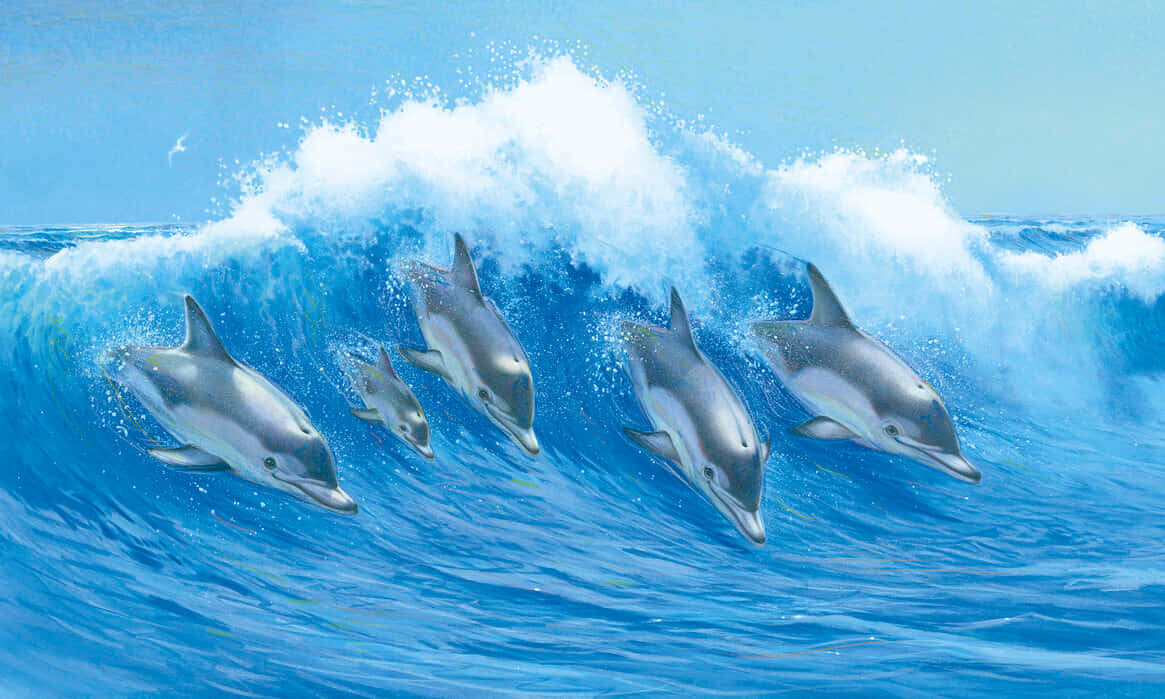 Sötadelfiner Vågor Datorgenererade. Wallpaper
