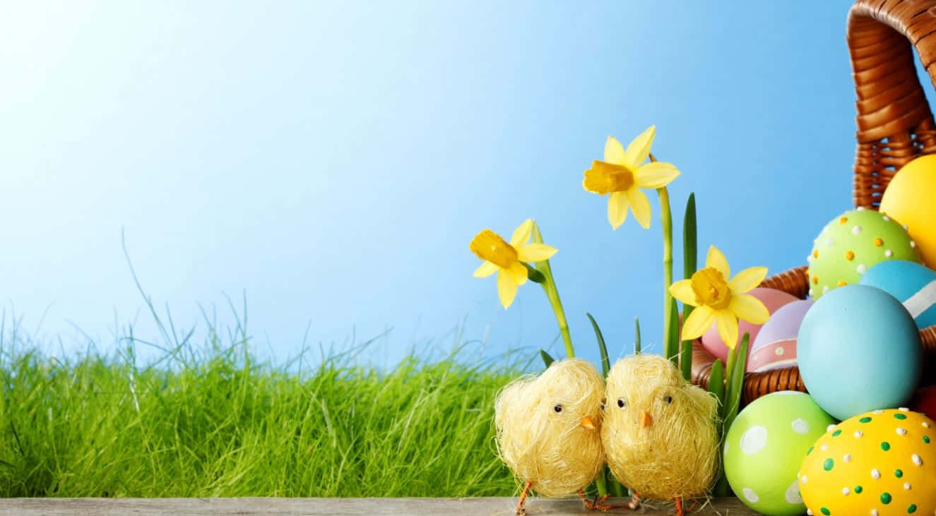Adorable Easter Chicks and Eggs Background