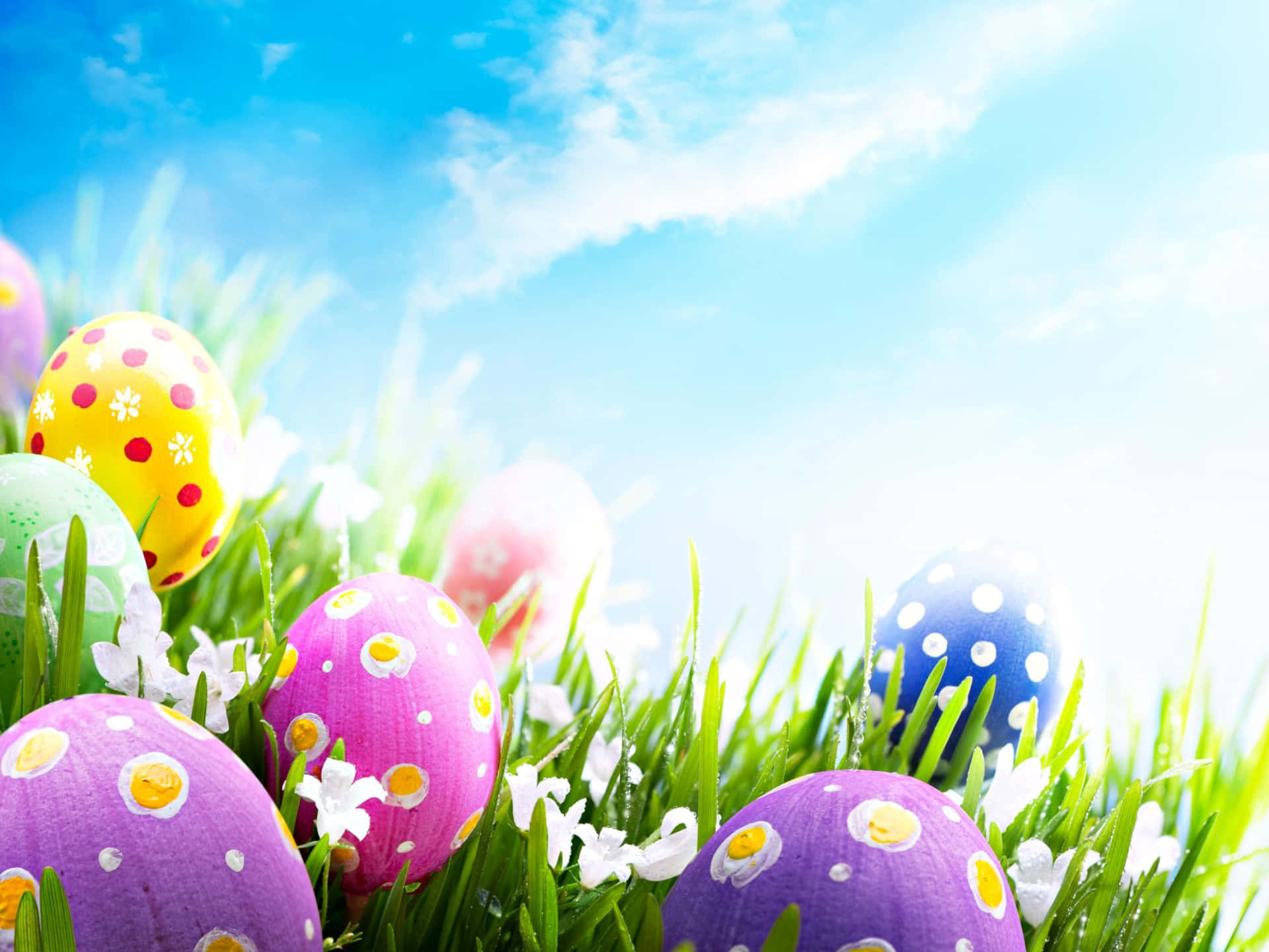 Adorable Easter Bunnies Celebrating Springtime