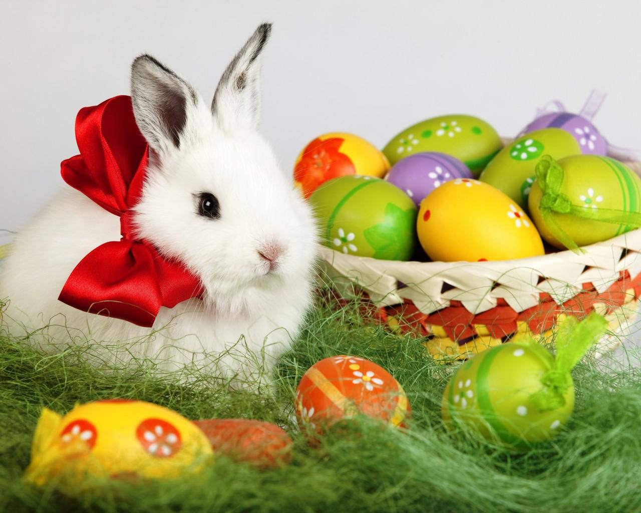 Cute Easter Bunny And Eggs Wallpaper