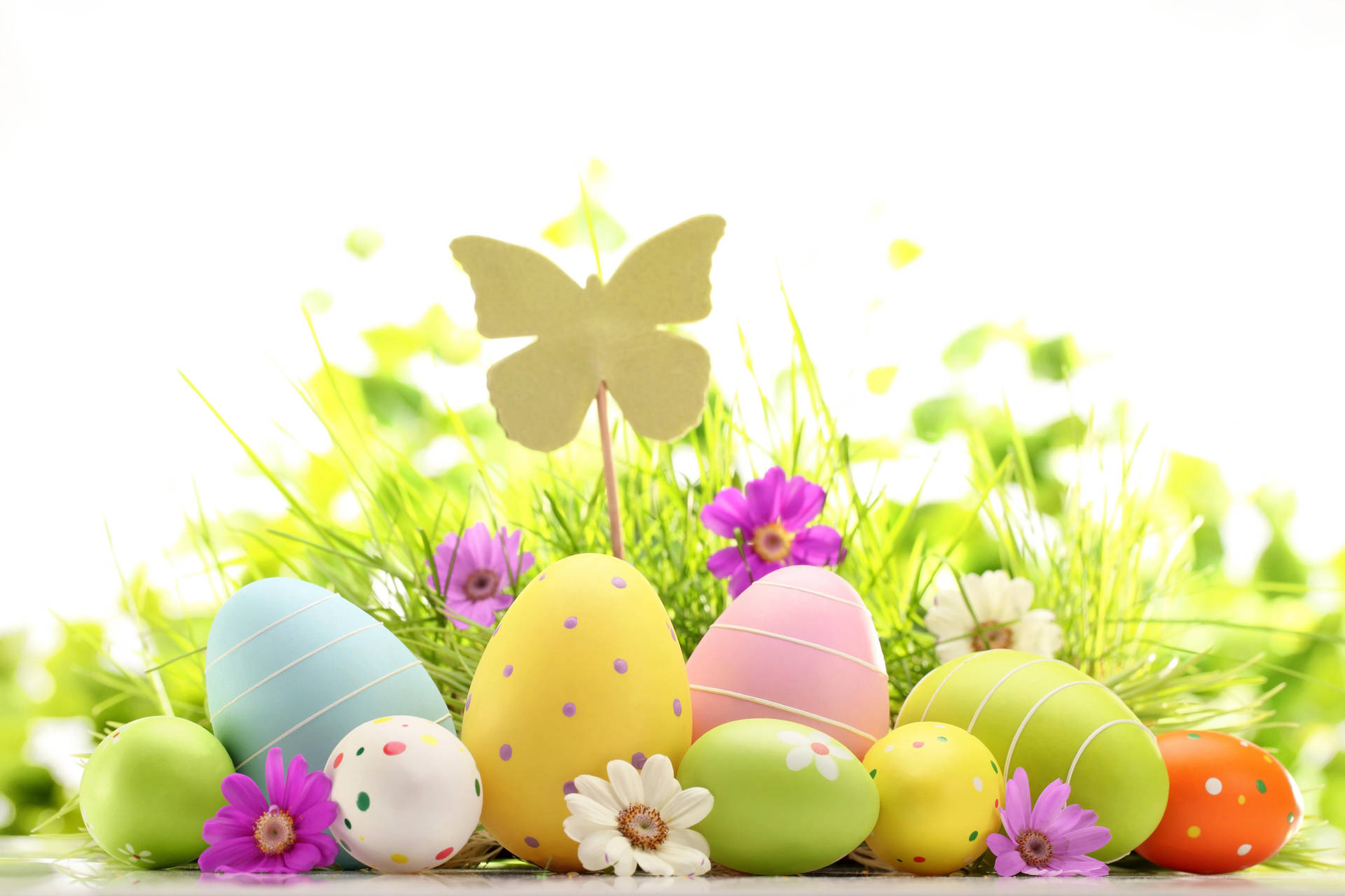 Cute Easter Eggs And Butterfly Wallpaper