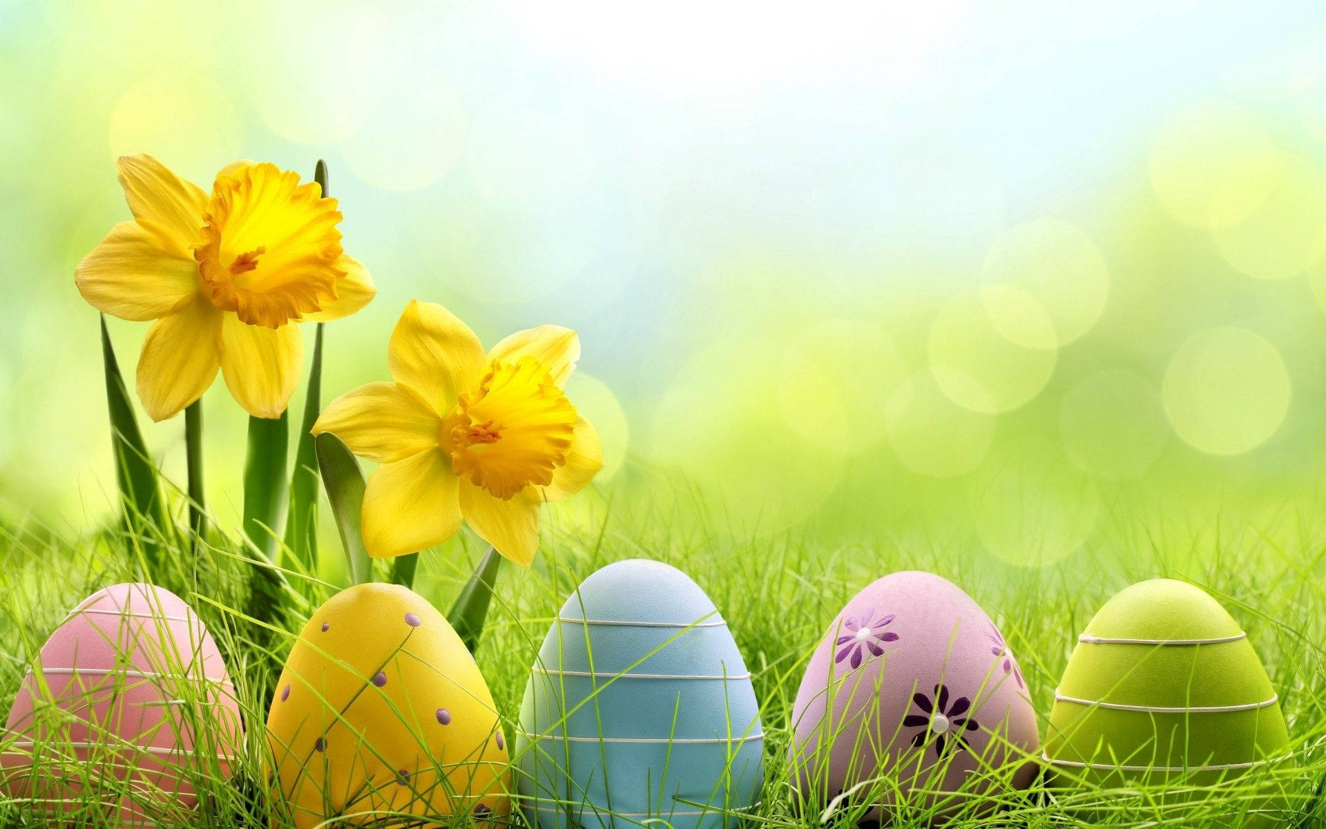 Cute Easter Flowers And Eggs Wallpaper