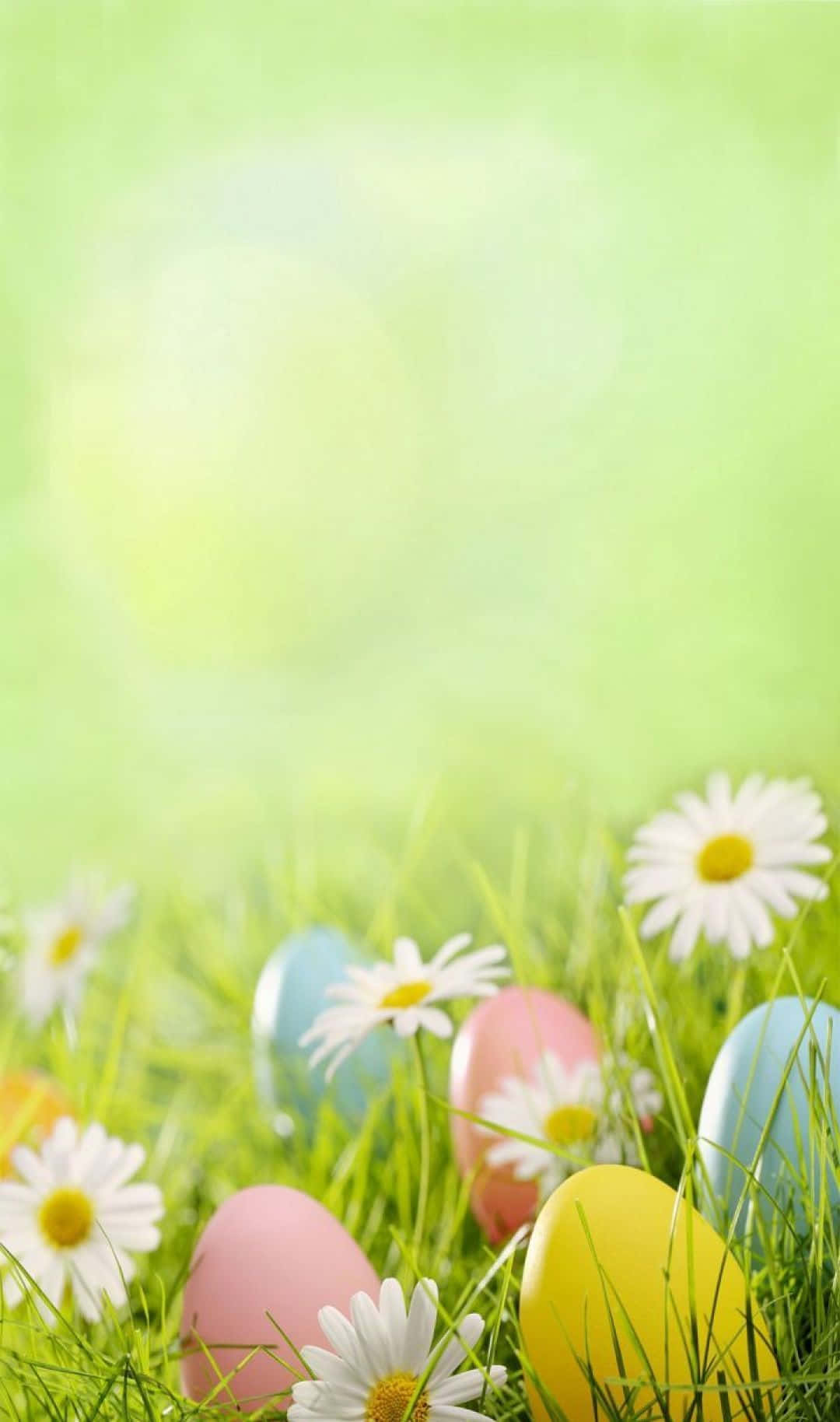 Cute Easter Iphone With Eggs On Grass Wallpaper