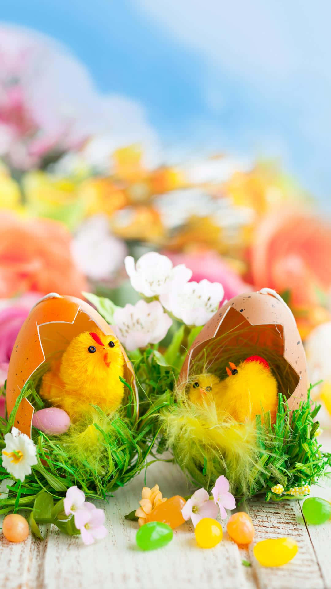 Carinoiphone Di Pasqua Con Due Uova Schiuse Sfondo