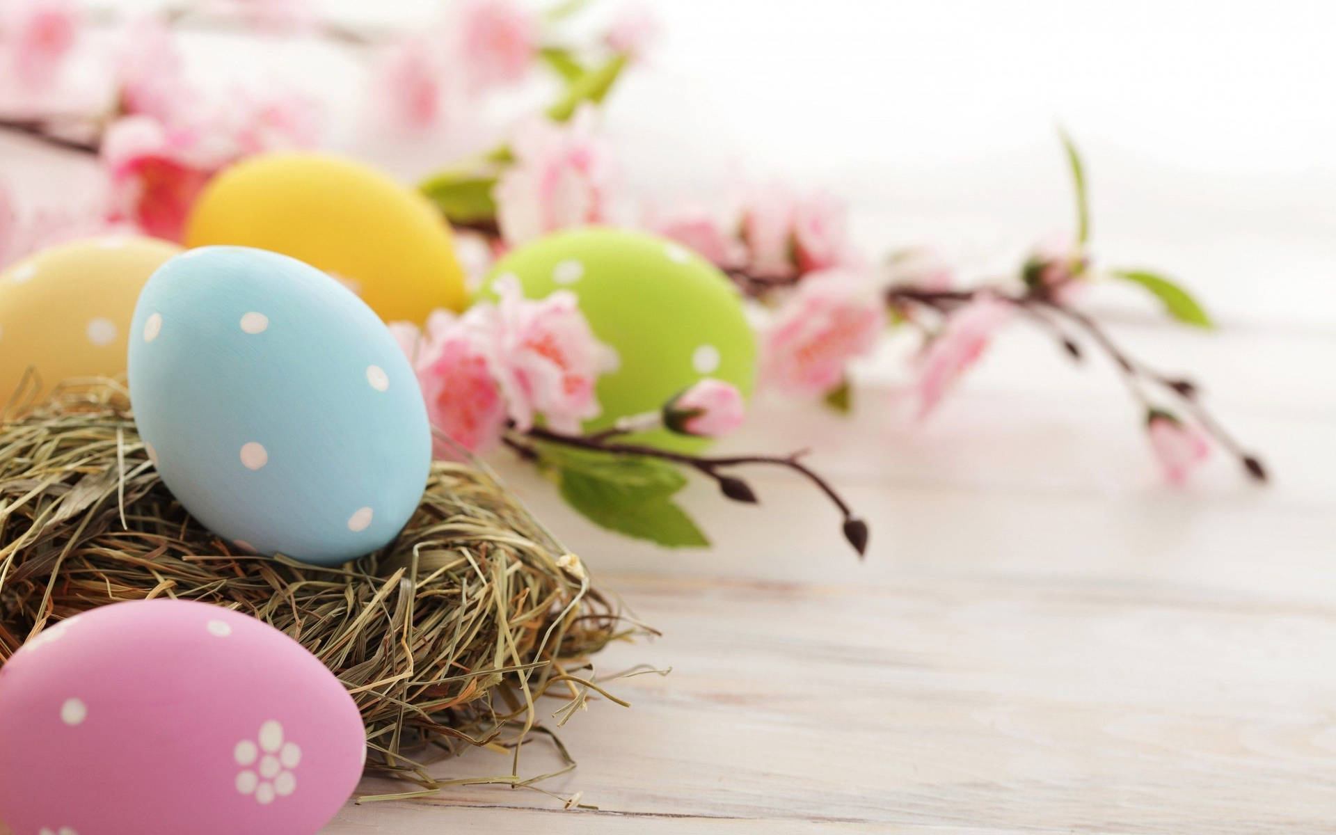 Søde påske pastelfarvede æg og kanin tapet Wallpaper