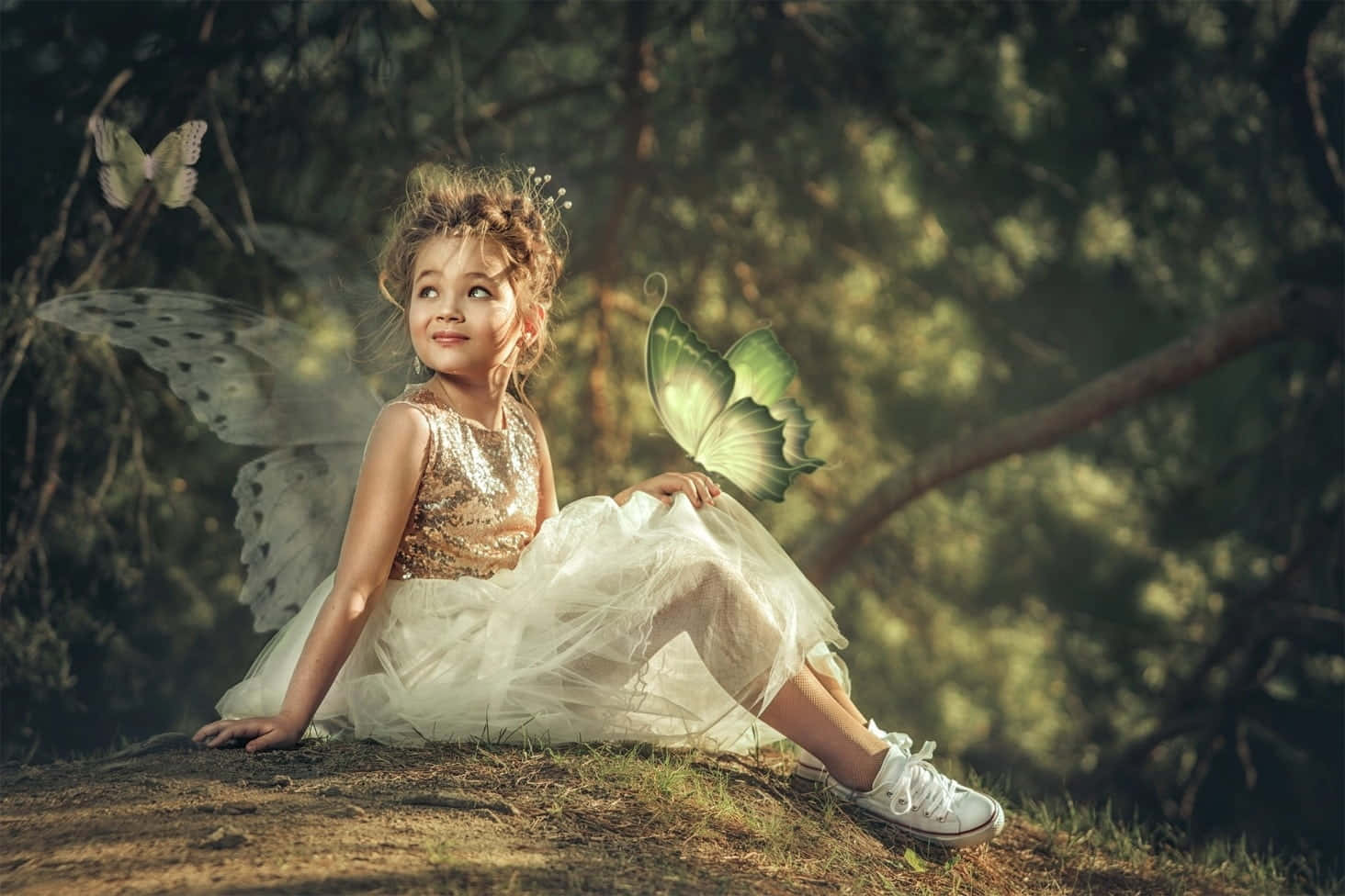 Enchanting Cute Fairy in a Mystical Forest Wallpaper