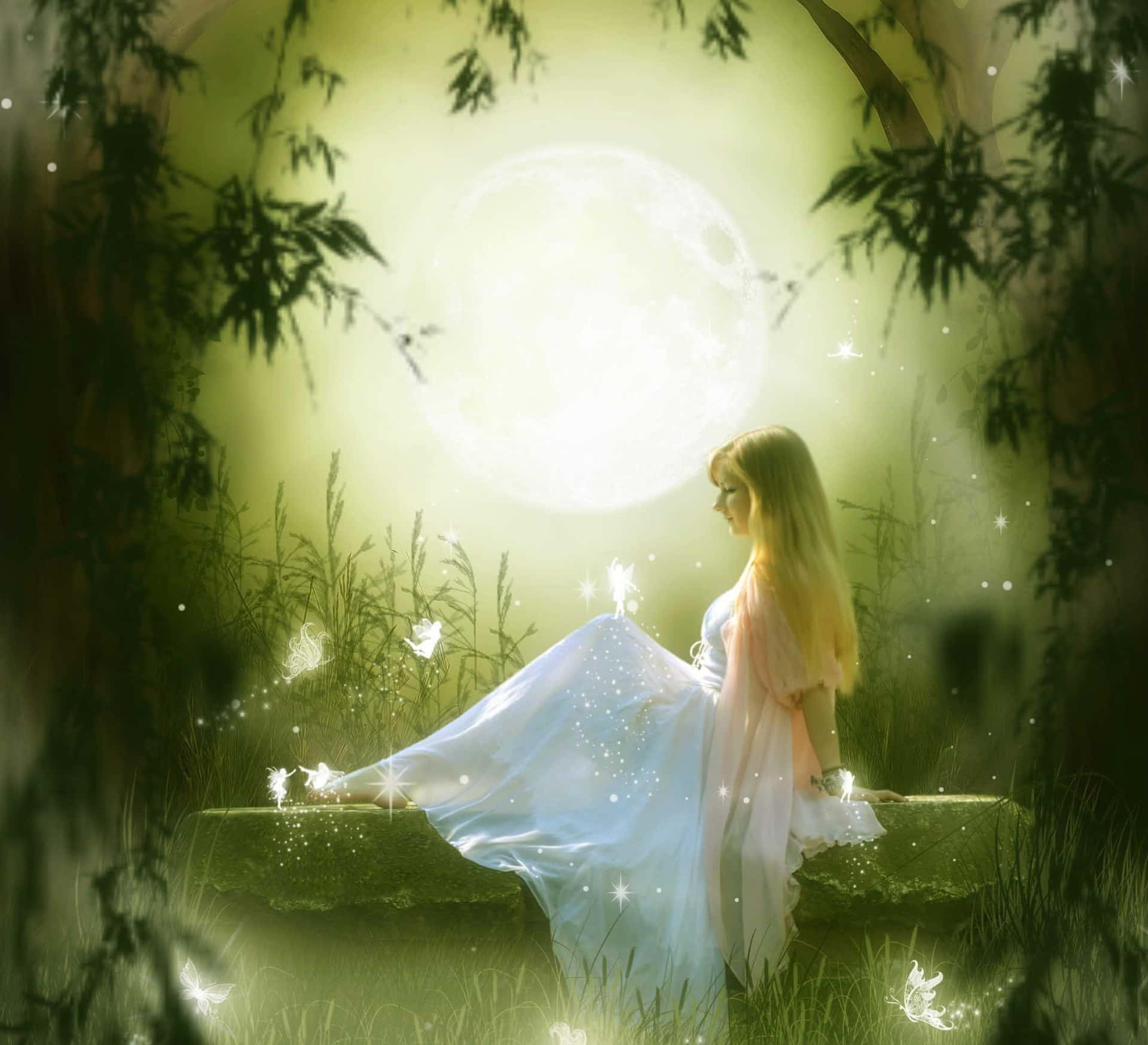 Captivating Fairy in Enchanted Forest Wallpaper