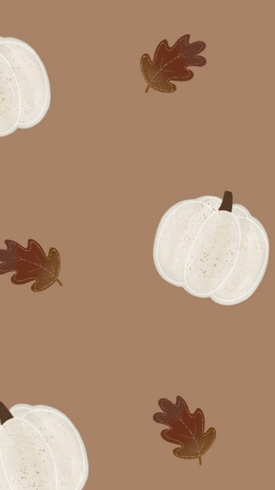 Cute Fall Phone White Pumpkins Wallpaper