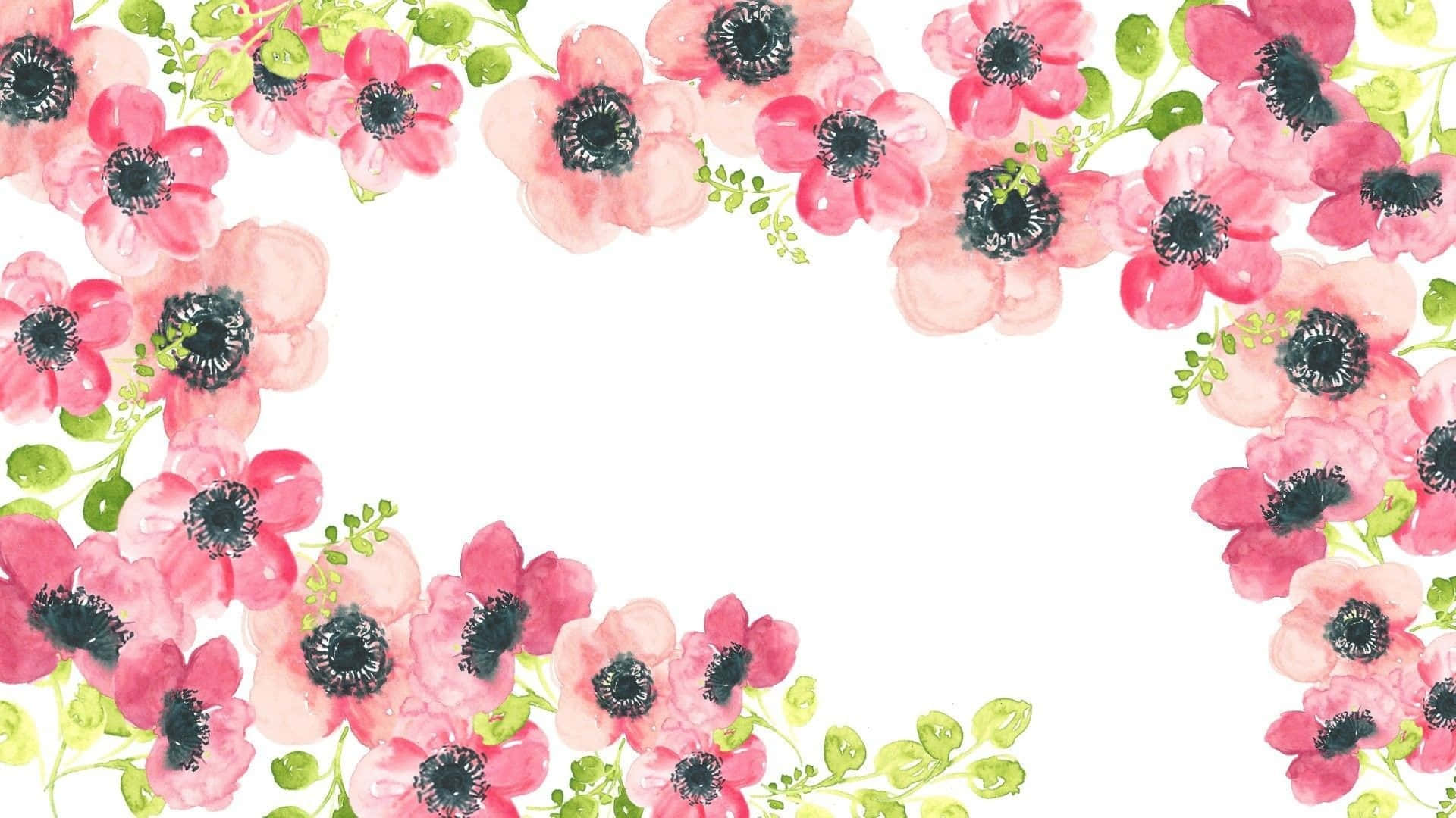 Pink Flowers On A White Background