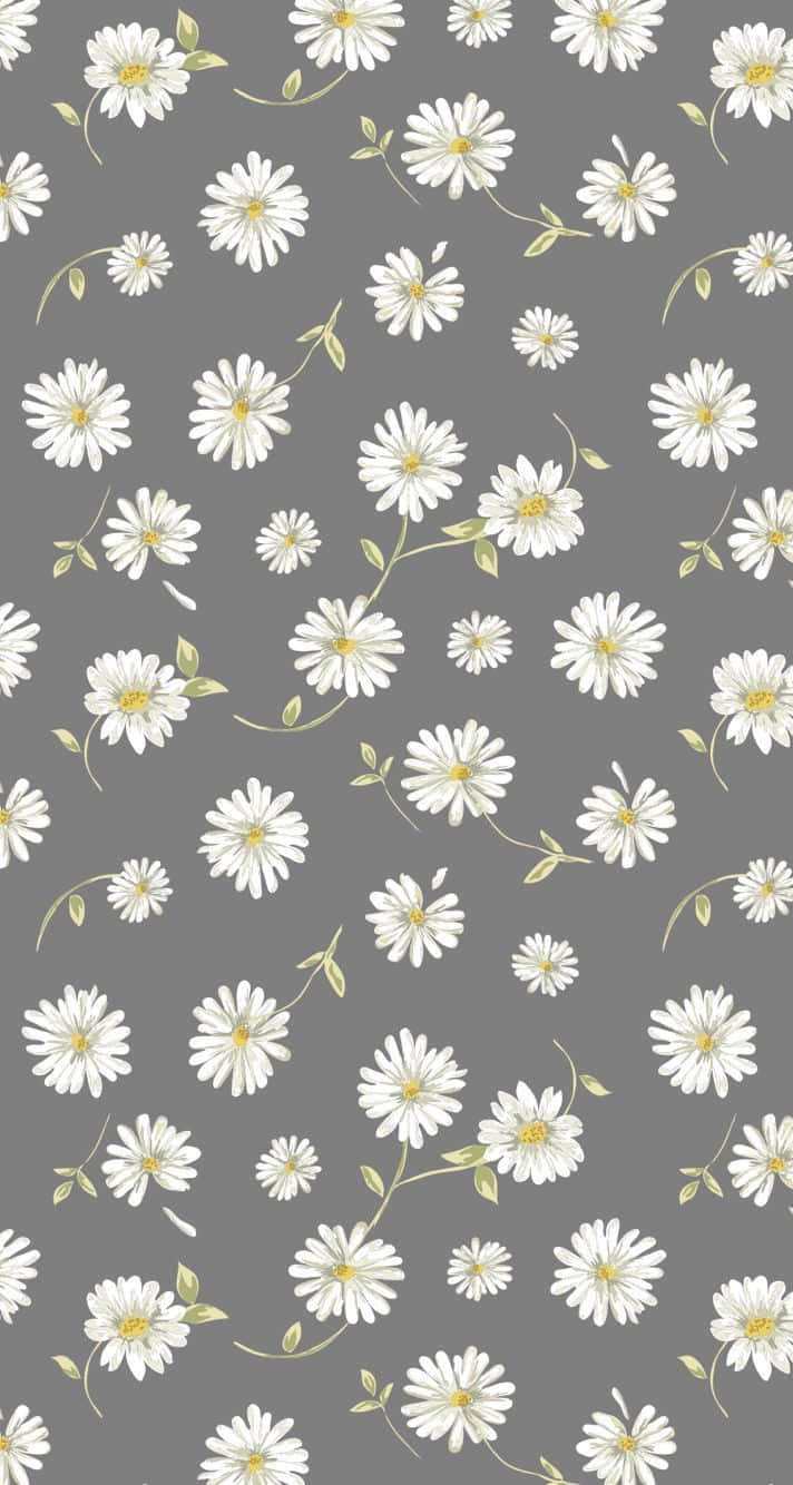 Weißesgänseblümchen Niedliche Blumenmuster Wallpaper