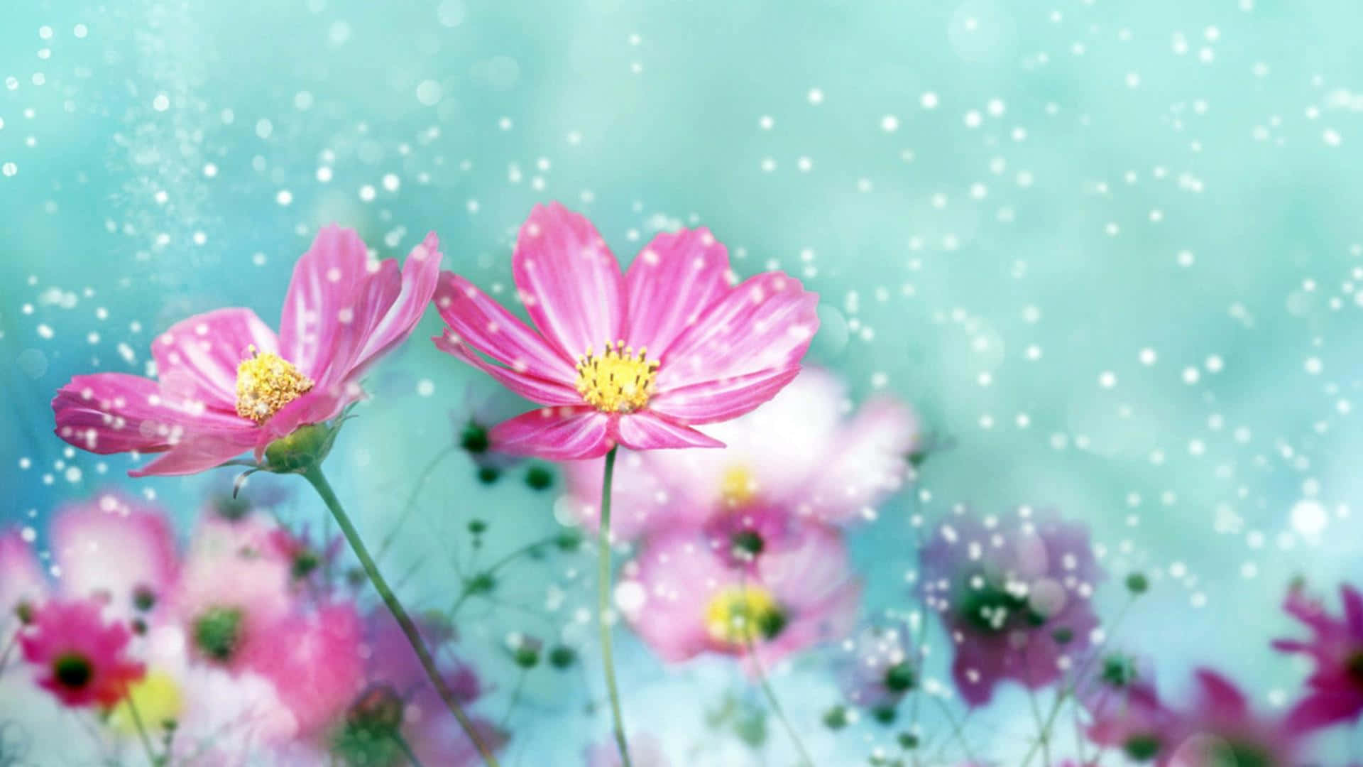 Pink Cute Floral With Snow Wallpaper