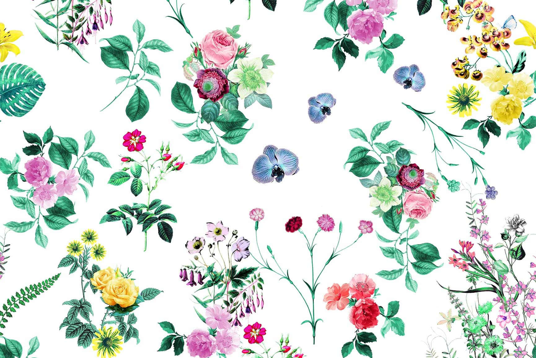 Different Flowers With Leaves Cute Floral Wallpaper
