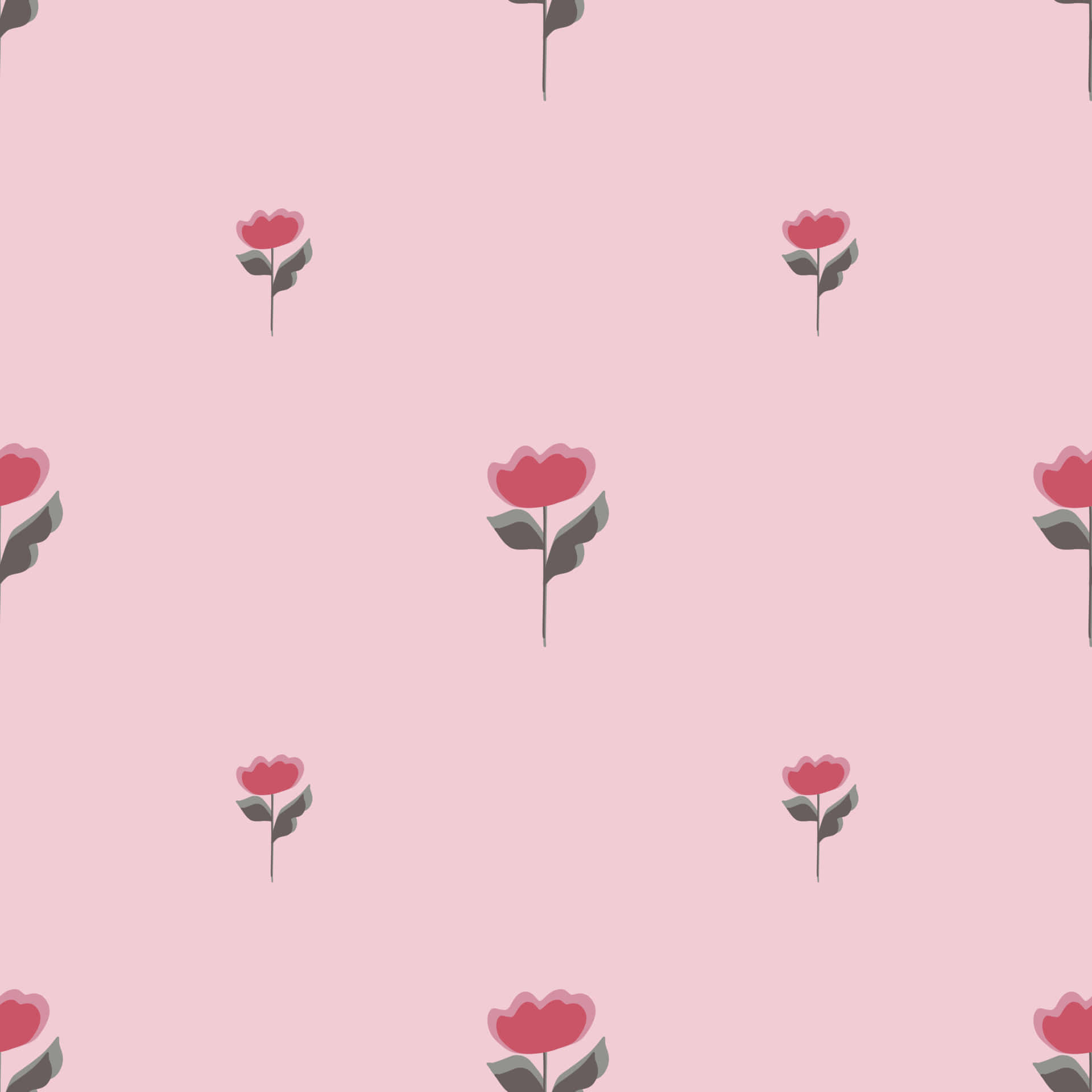 Captivating Cute Flower Background with Delicate Blossoms