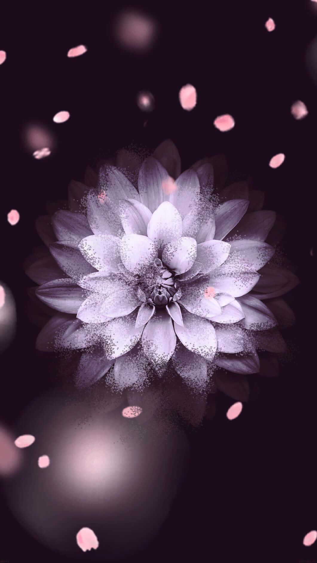 Lad skønheden af blomster blomstre inden i dit hjerte. Wallpaper