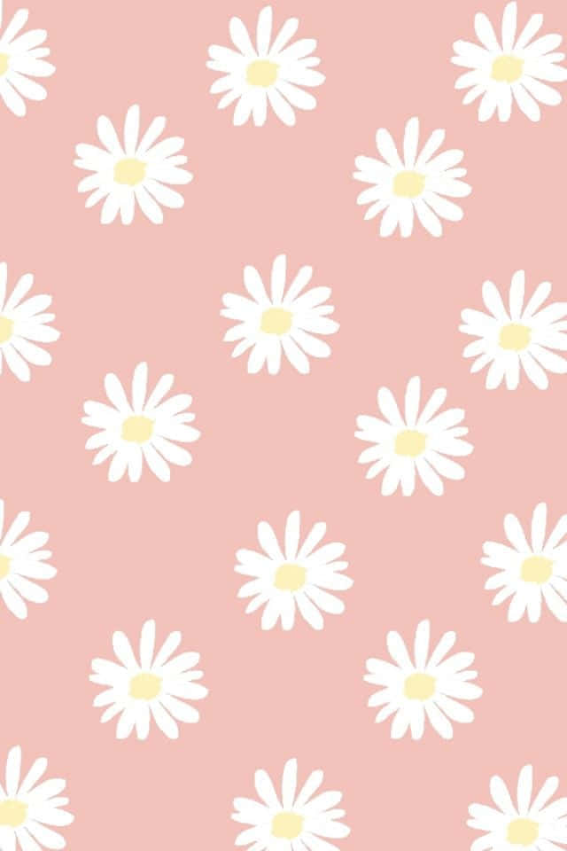 Blooming Beauty - A Cute Flower Background