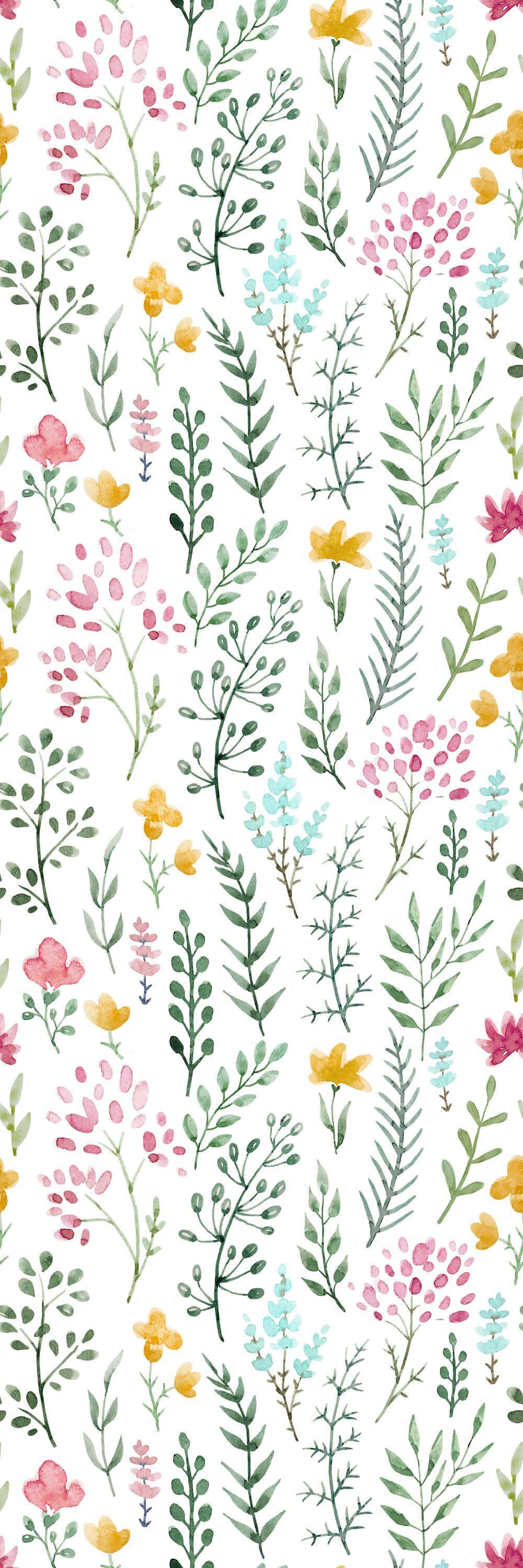 Bildeine Schöne Rosa Nelkenblume Wallpaper