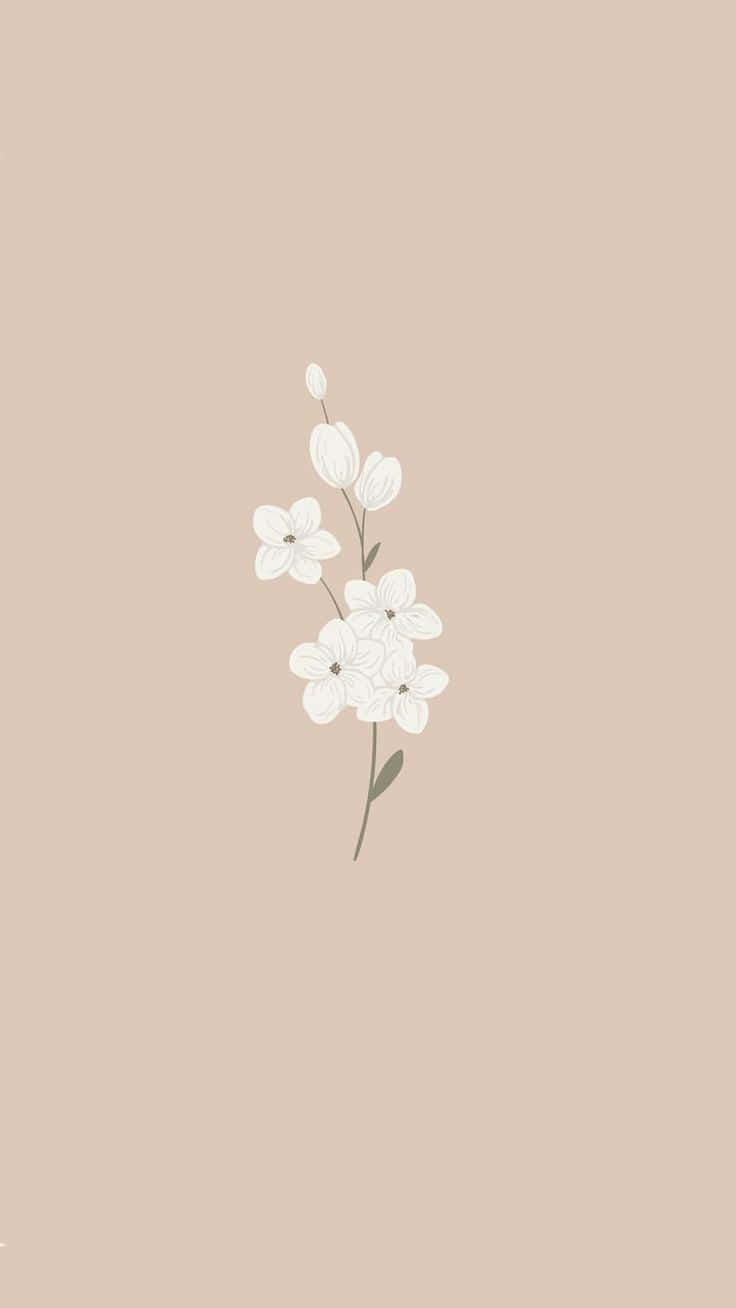 Download Cute Flower 736 X 1308 Background | Wallpapers.com