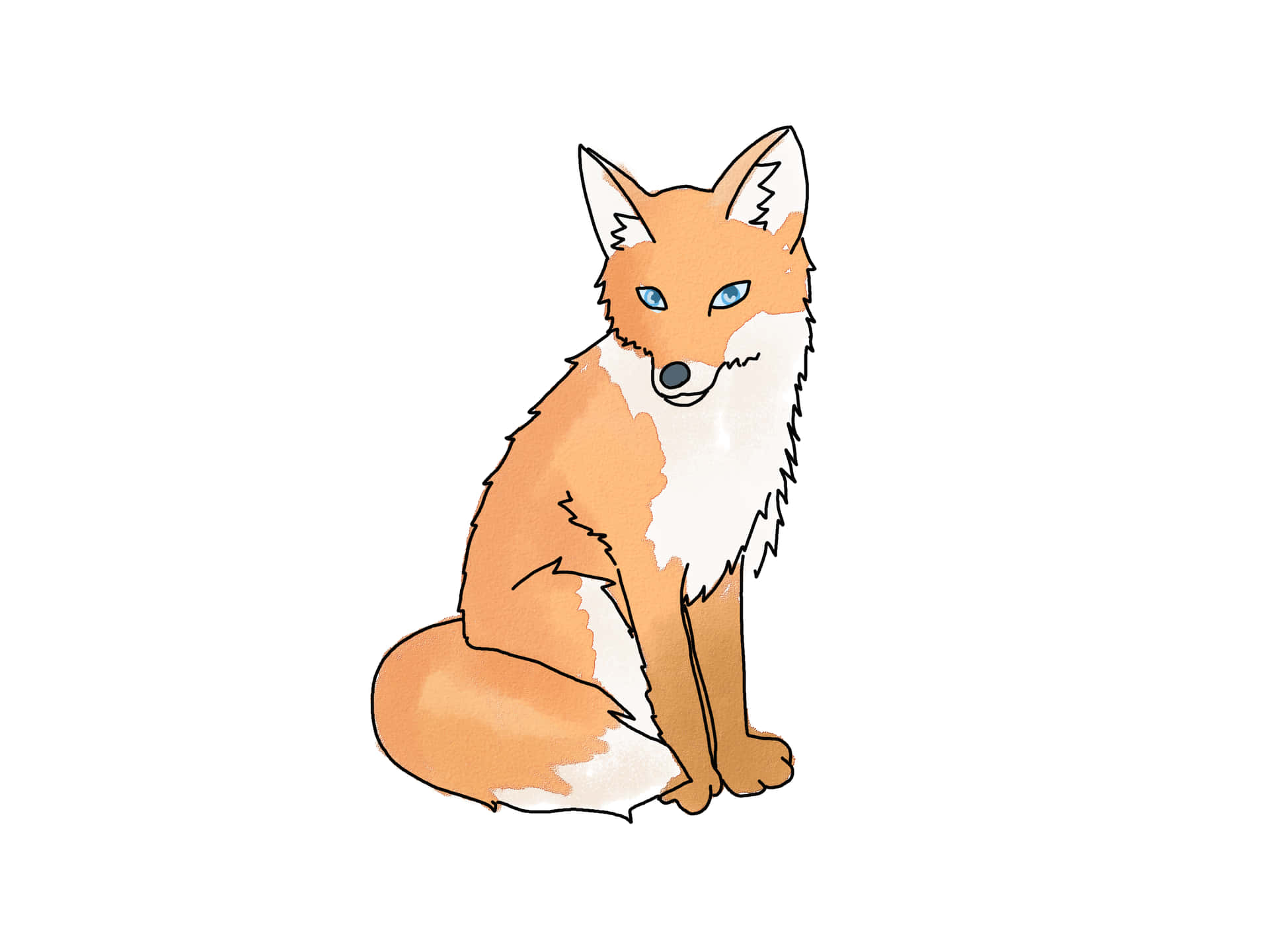 A Fox With Blue Eyes Sitting Down On A White Background