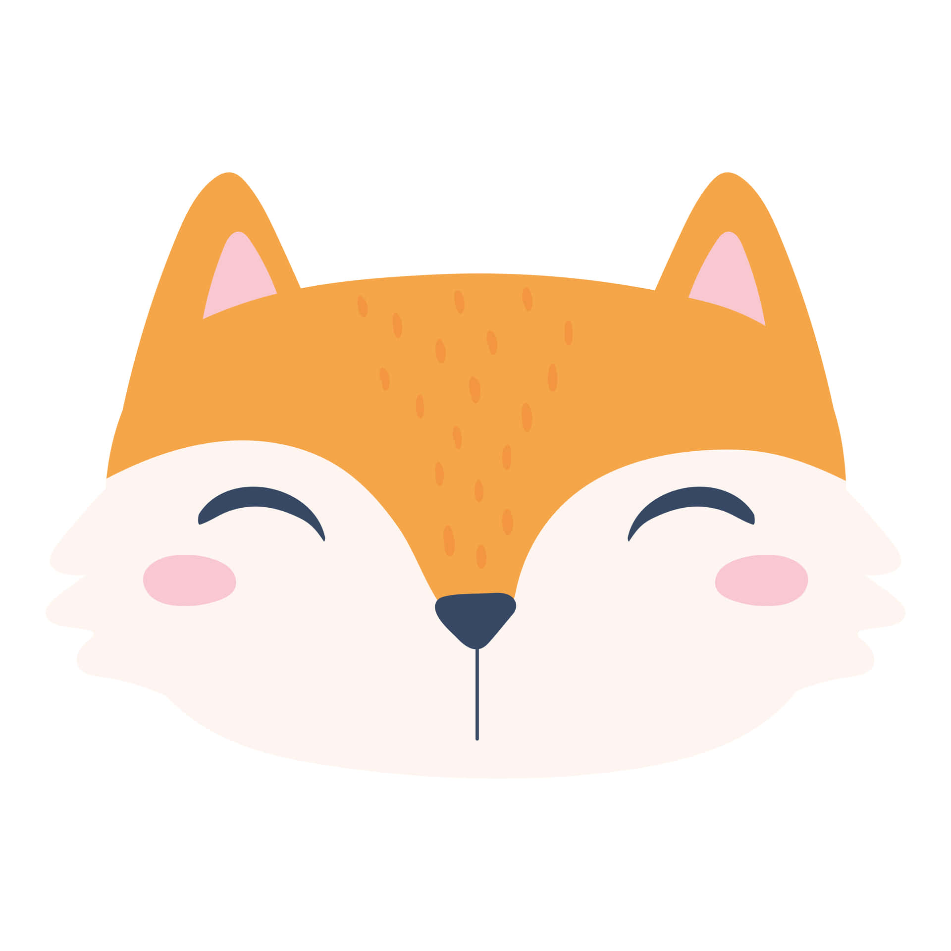 Look at this Adorable Fox!