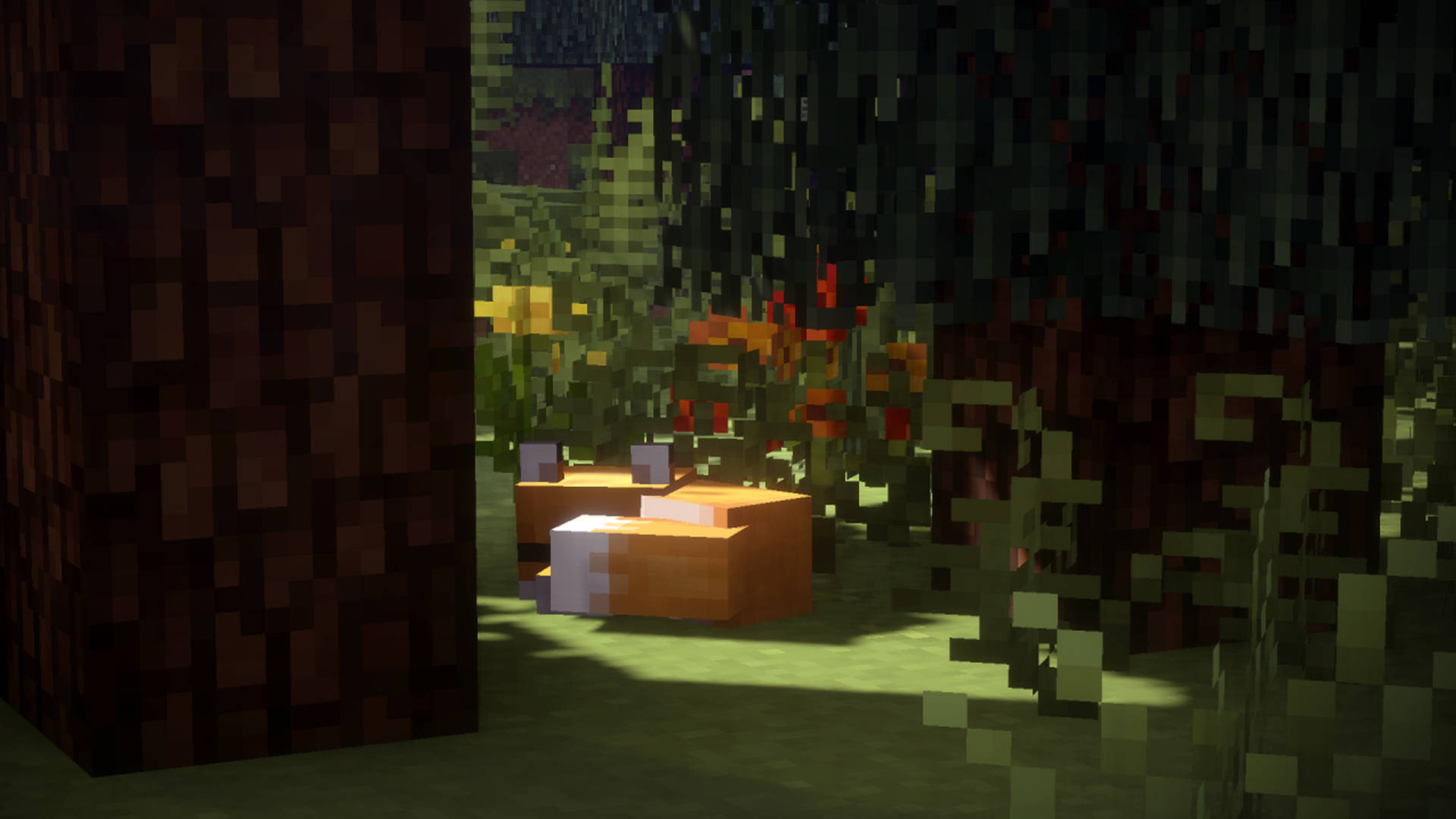 Cute Fox Sleeping 2560x1440 Minecraft Background