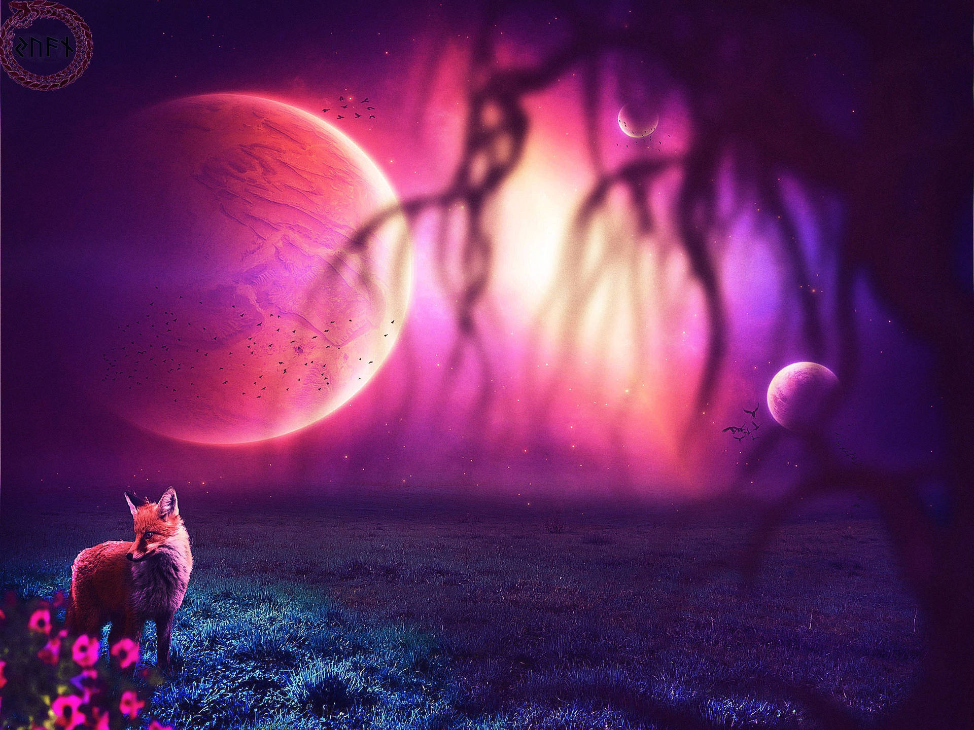 Cute Fox Under The Moon Wallpaper