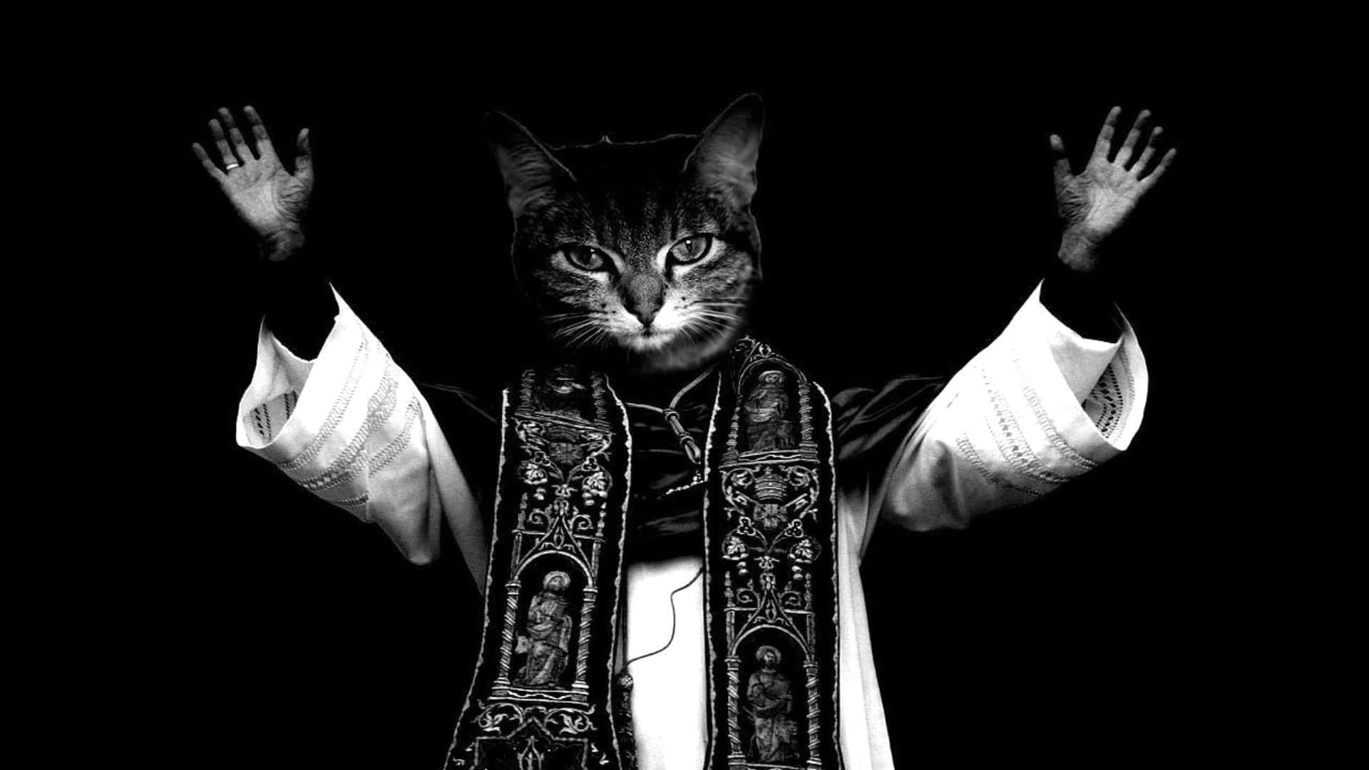 Niedlichelustige Katze Heiliger Priester Hebt Die Hände Bilder