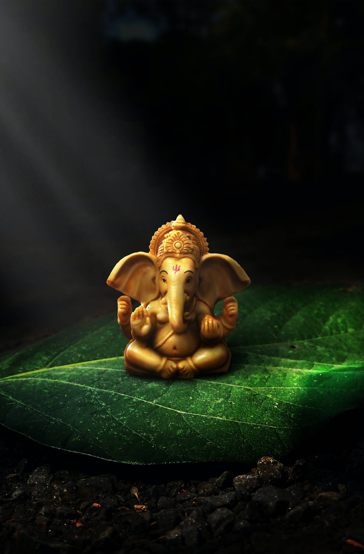 Download Cute Ganesha On Leaf Wallpaper | Wallpapers.com