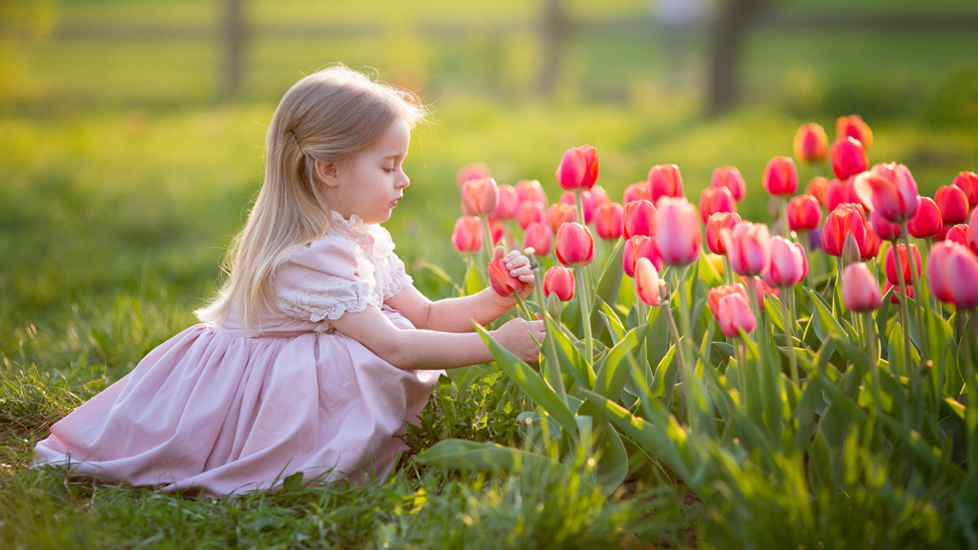 Sød pige lyserøde tulipaner blomster mønster tapet Wallpaper
