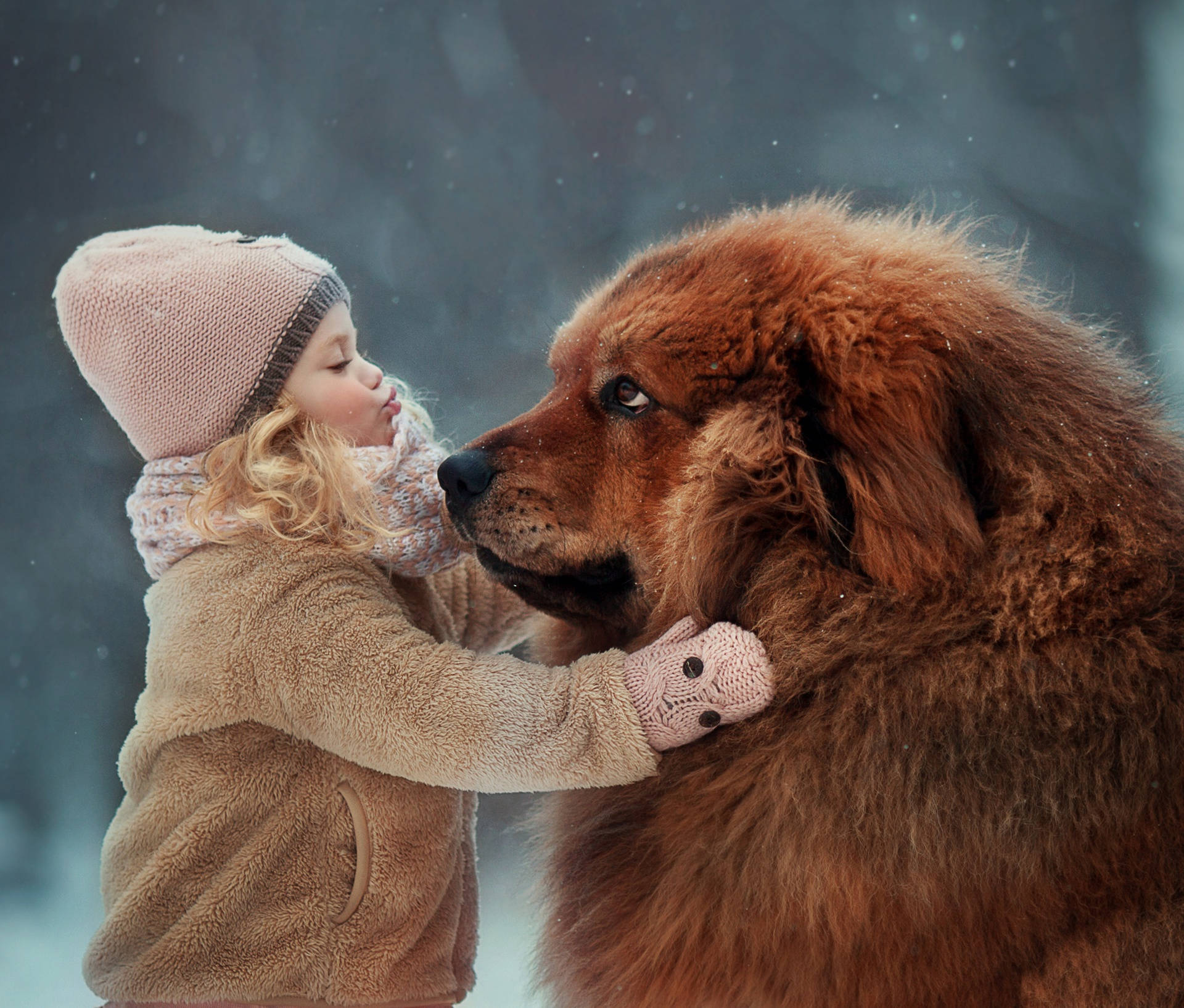 Download Cute Girl With Big Brown Dog Wallpaper 