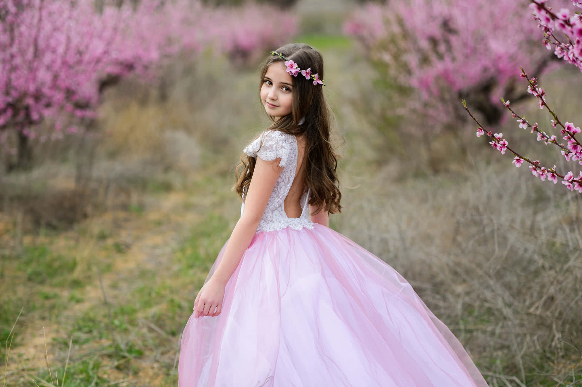 Unachica En Un Vestido De Tul Rosa Está Parada En Un Campo De Flores En Flor Fondo de pantalla