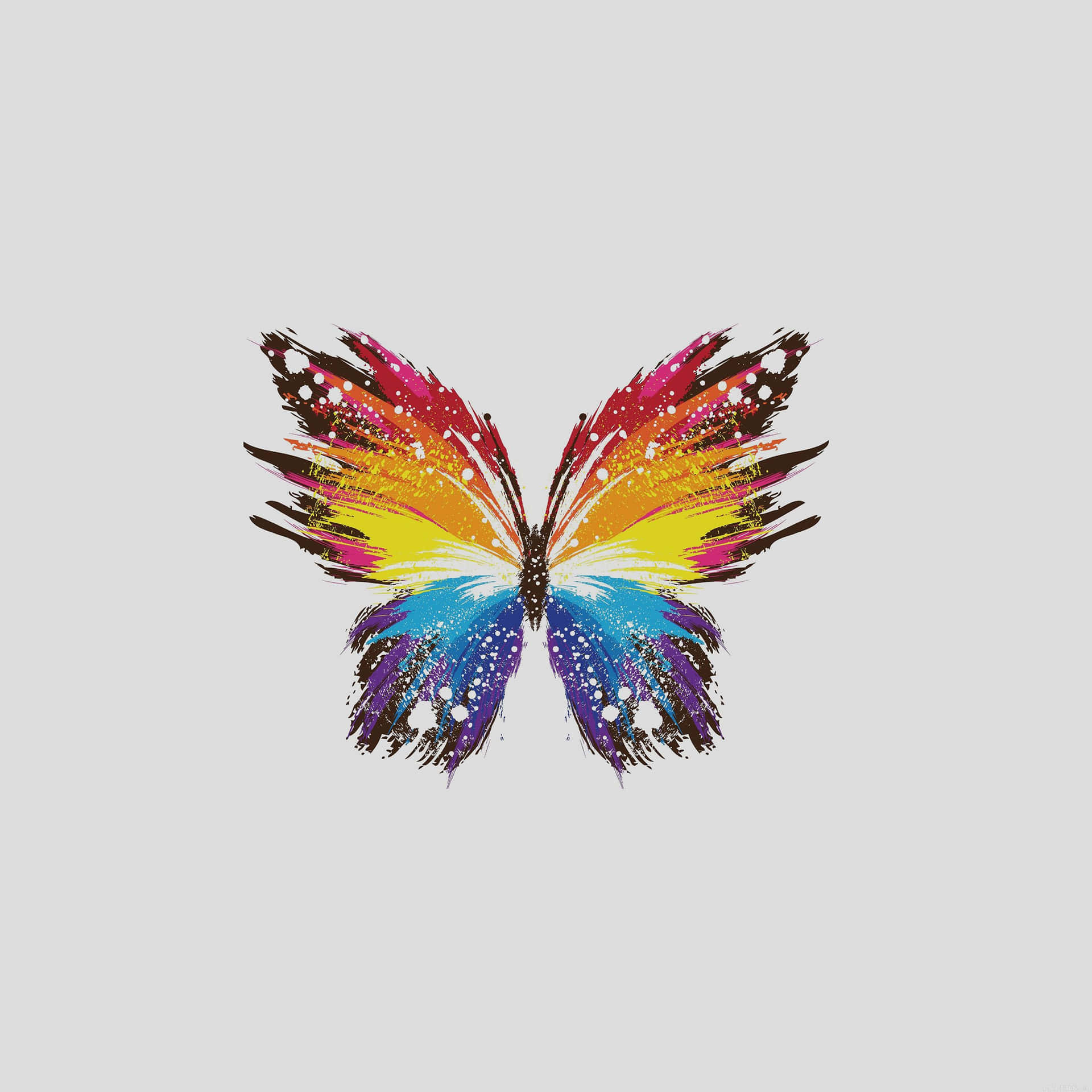 Rainbow Butterfly Art Cute Girly Ipad Wallpaper