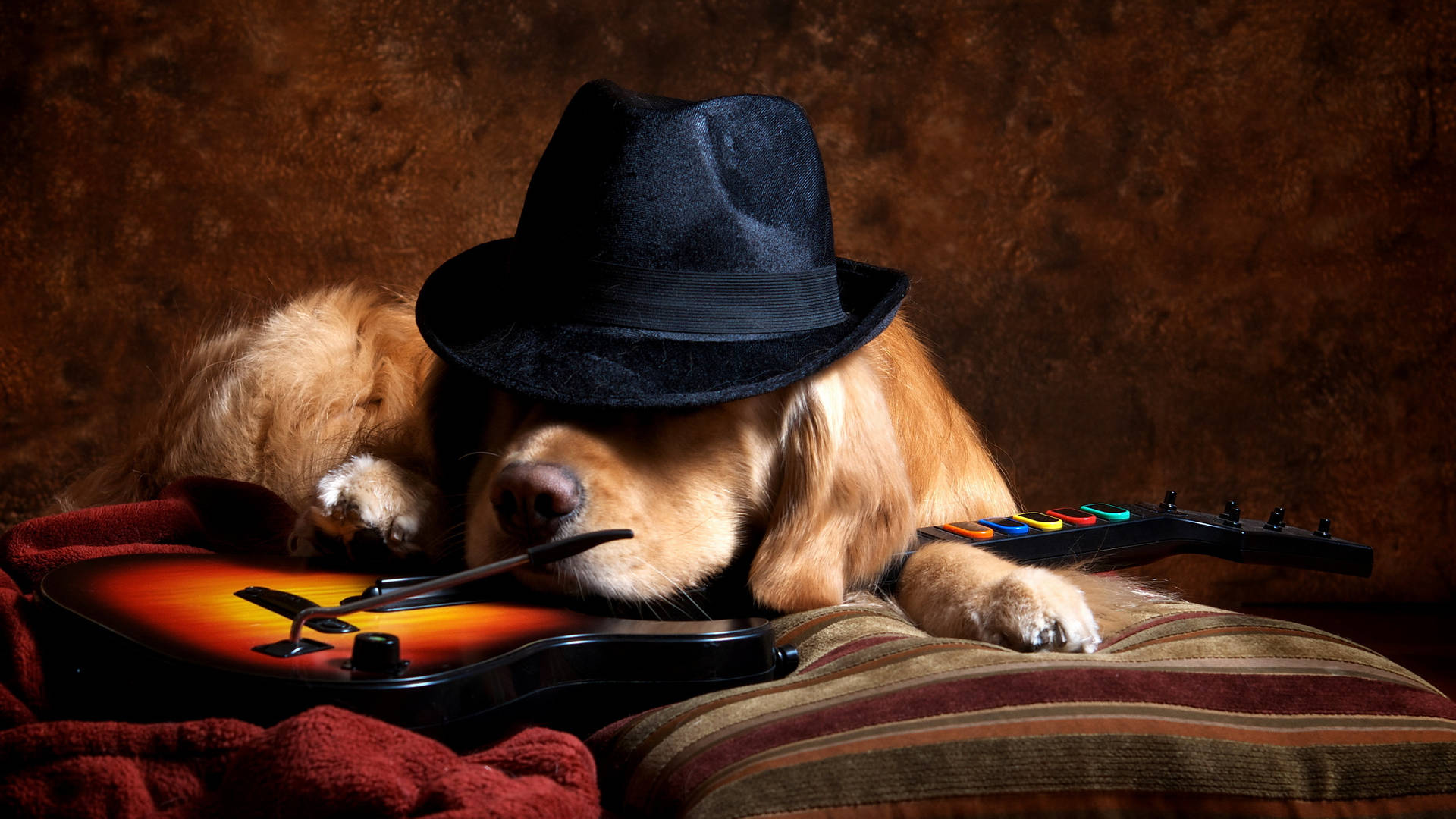 Cute Golden Retriever With Hat And Guitar Background