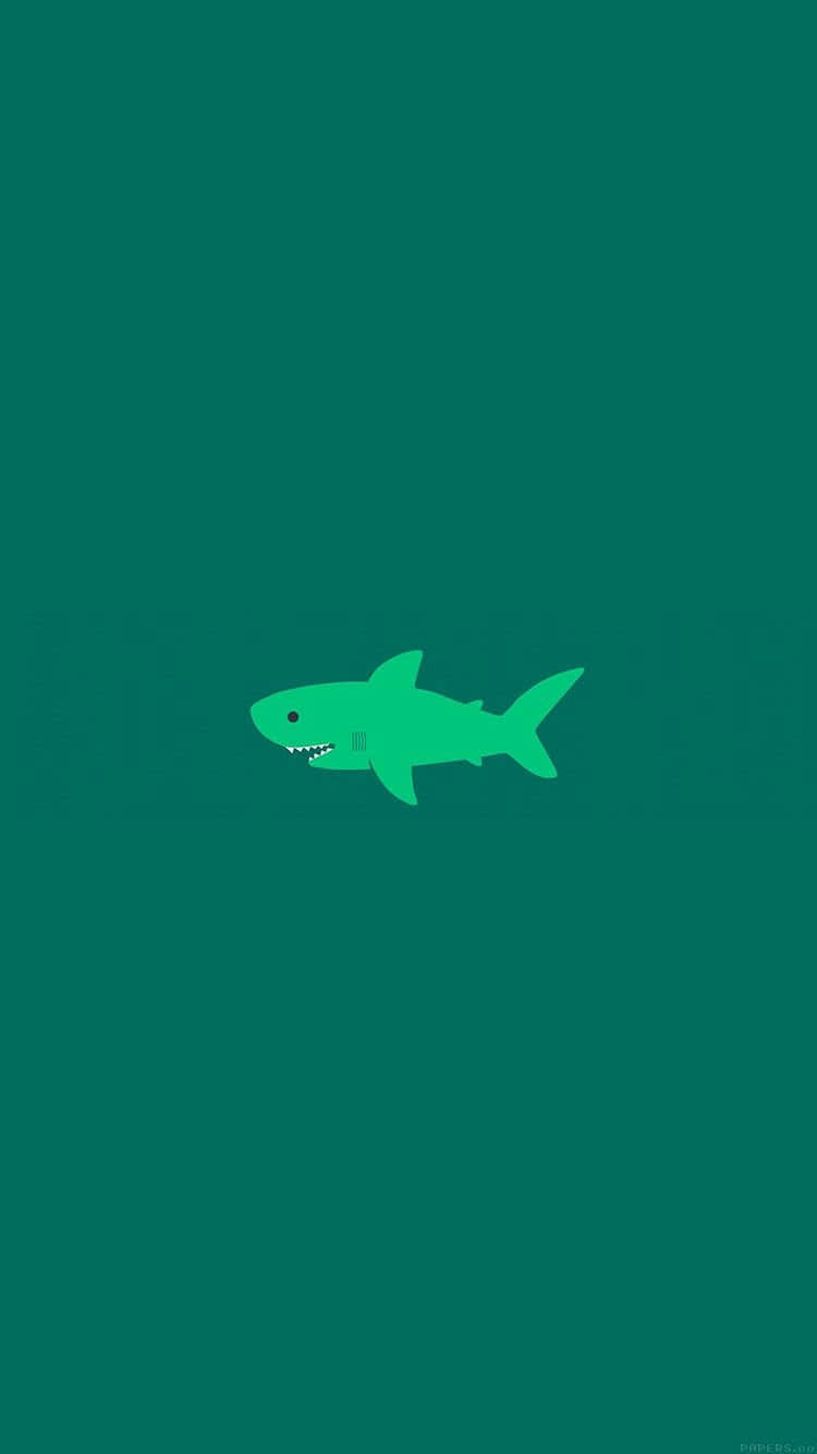 Cute Green Shark Background