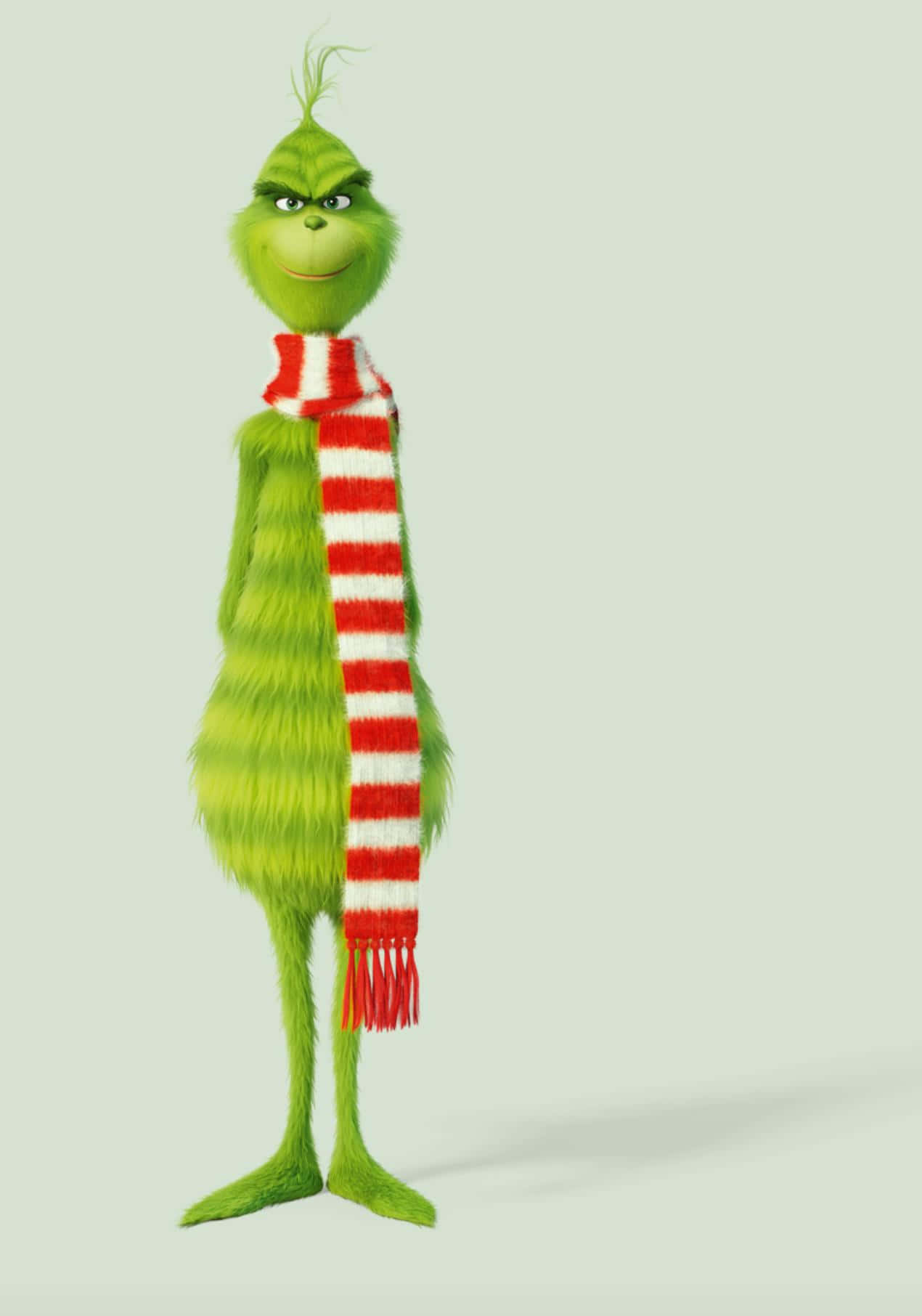 Animated Film Cute Grinch Long Scarf Wallpaper