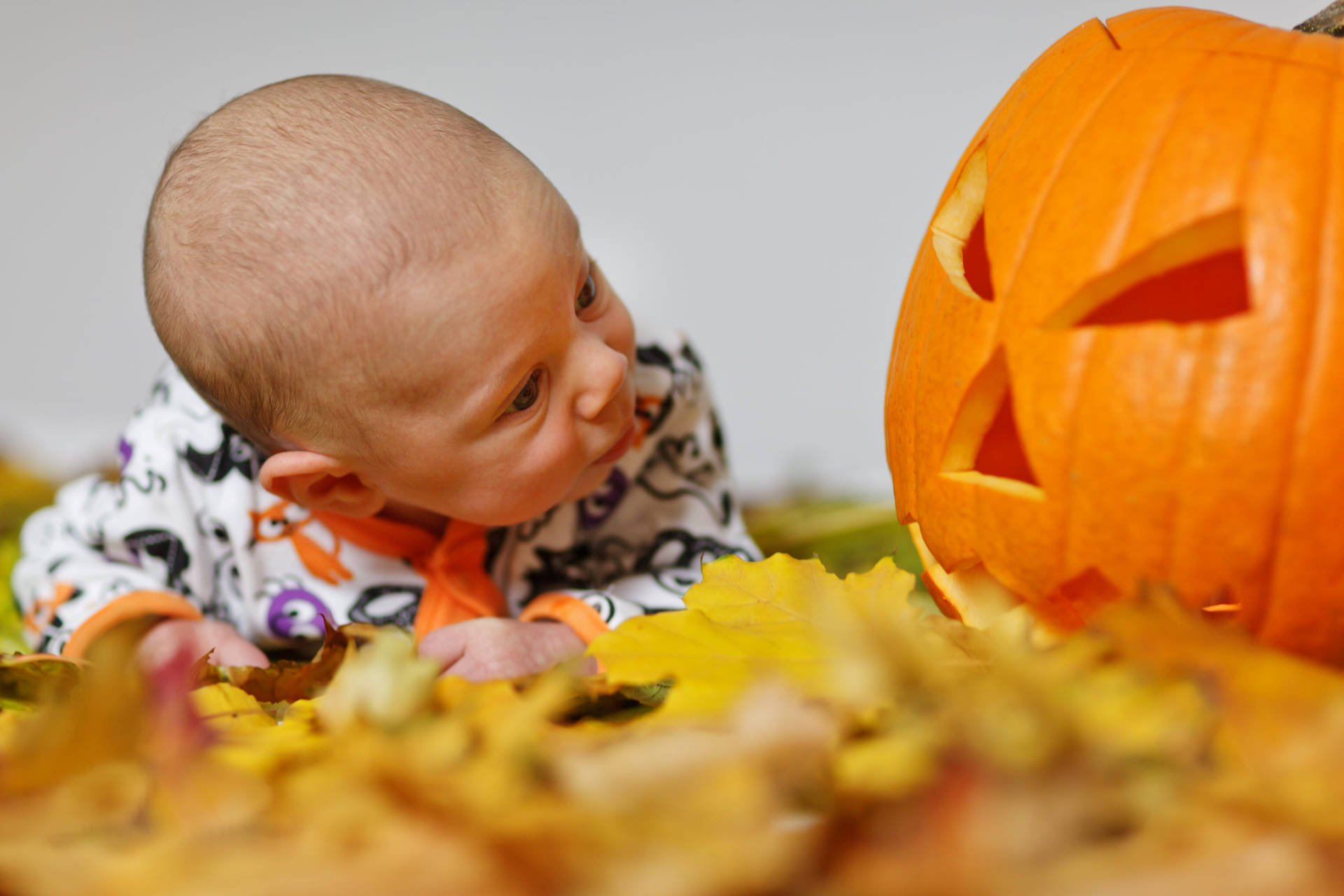 Cute Halloween Baby Pumpkin Gaze Wallpaper