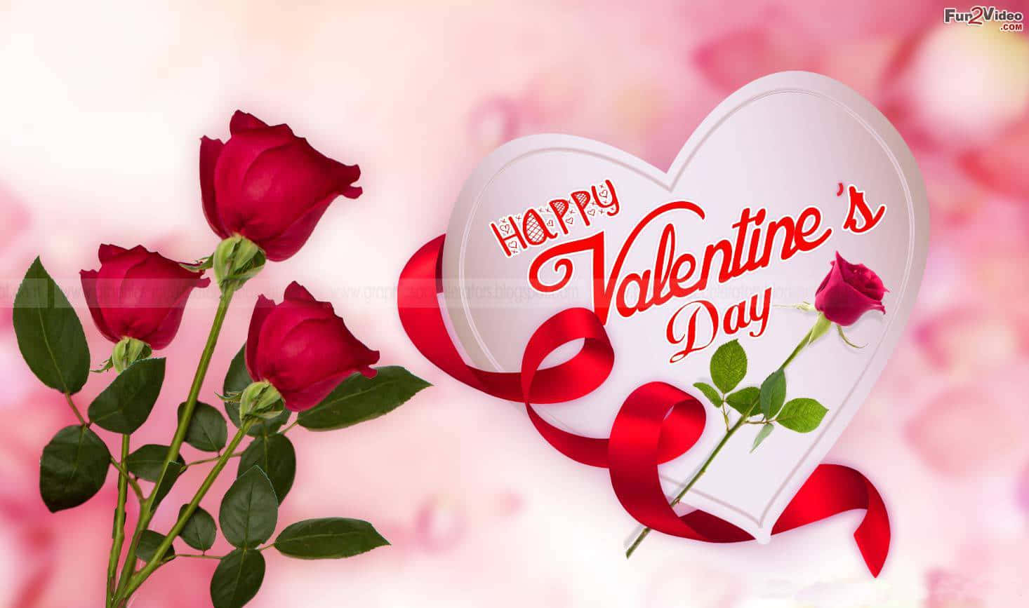 Comparteel Amor Y La Alegría En Este Día De San Valentín. Fondo de pantalla