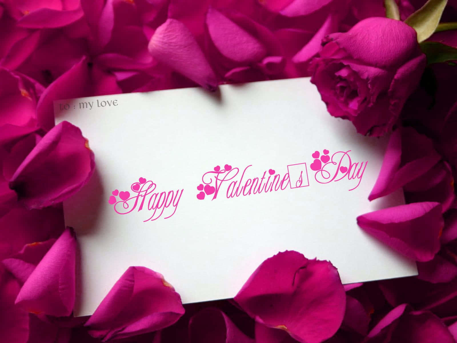 Cute Happy Valentine Day Card Wallpaper