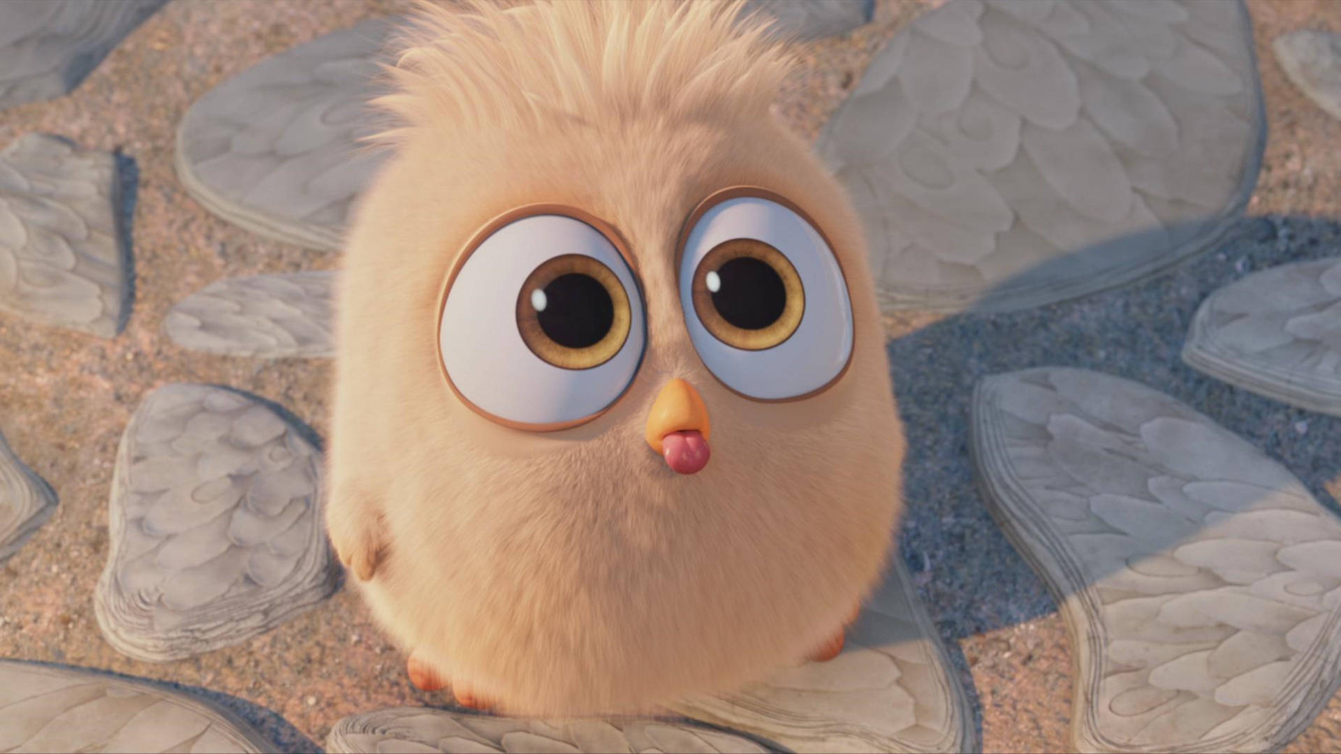 Cute Hatchling From The Angry Birds Movie Wallpaper