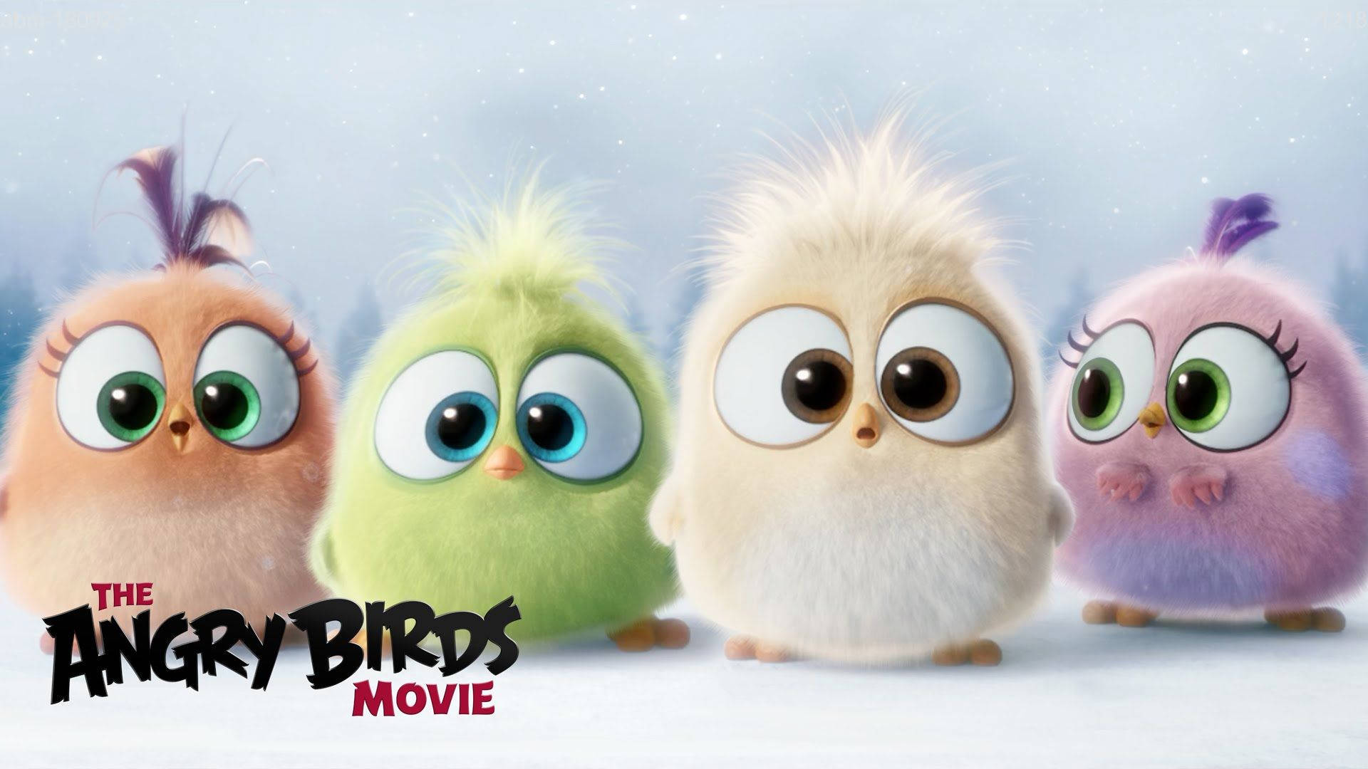 Cute Hatchlings From The Angry Birds Movie Wallpaper