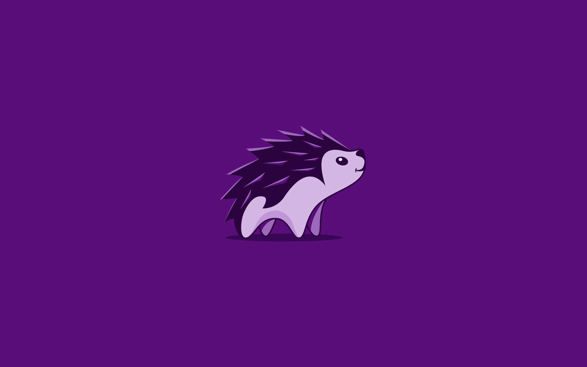 A Hedgehog On A Purple Background Wallpaper