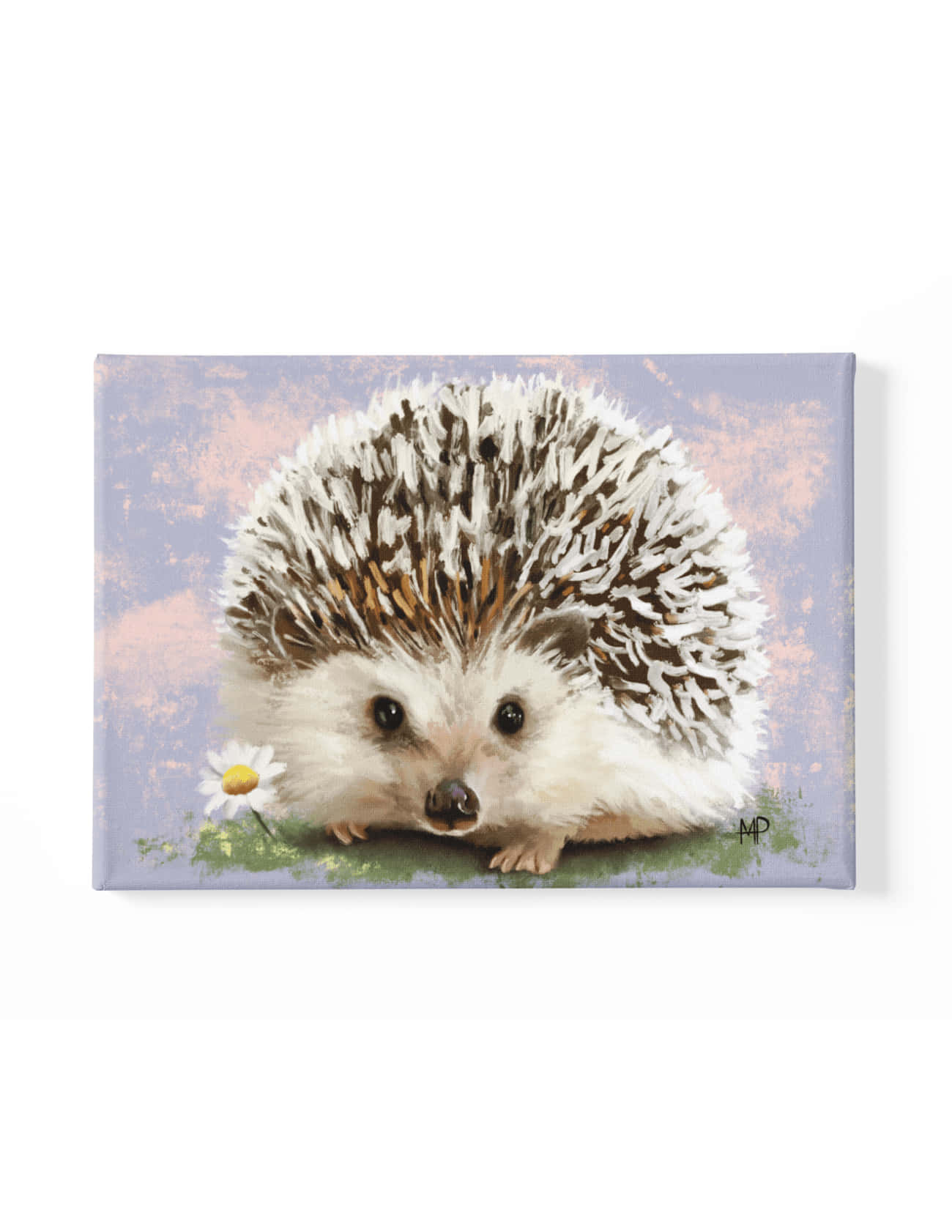 Cute Hedgehog Painting On White Background Picture