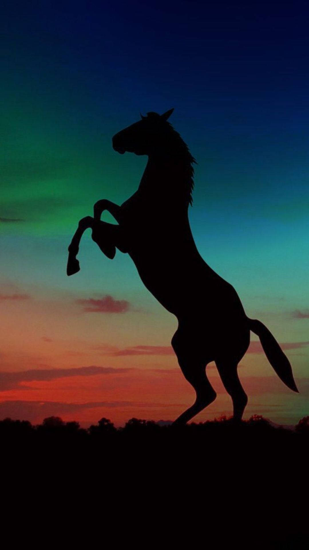 Cute Horse Silhouette Background