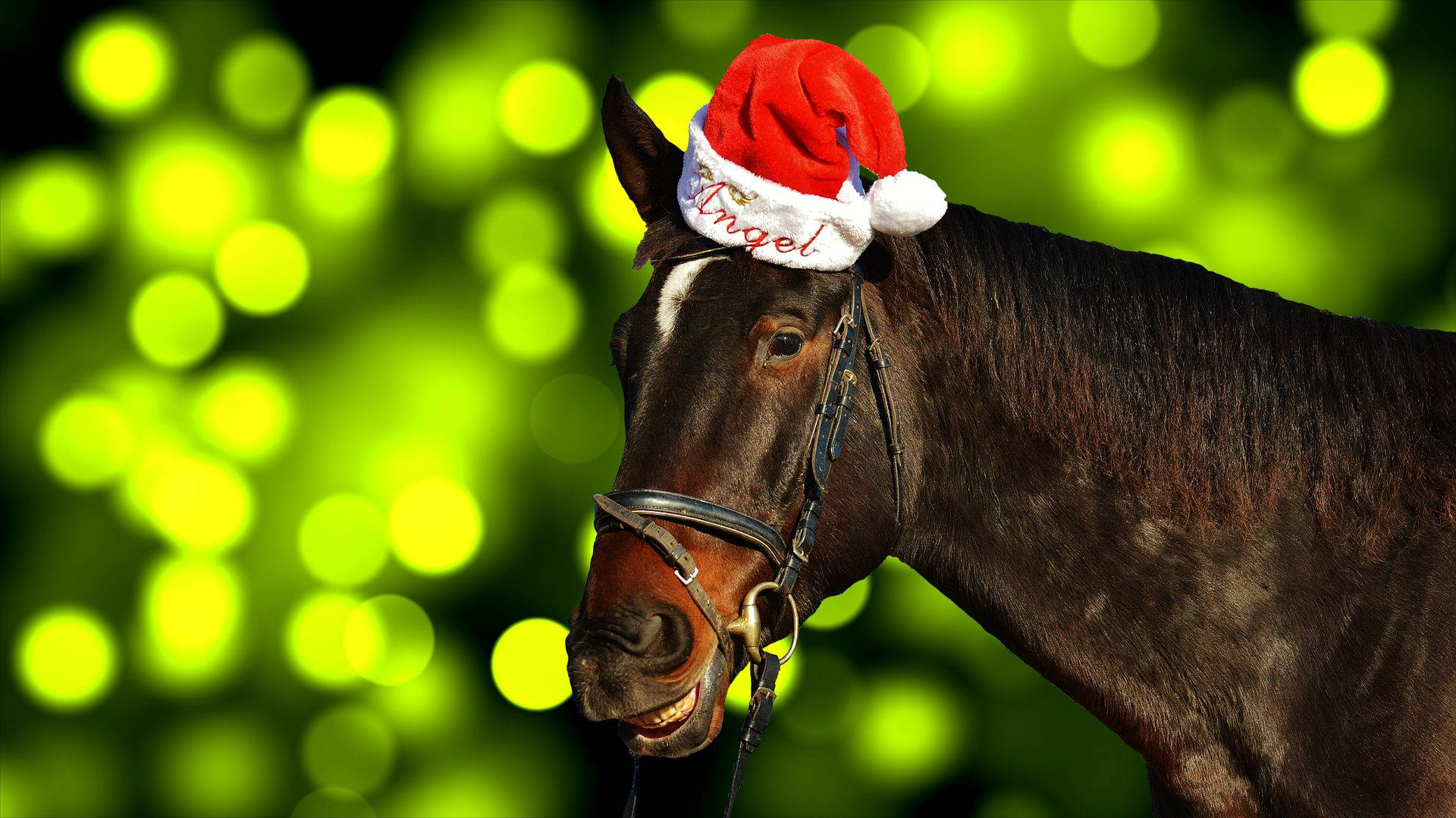 Cute Horse Wearing Santa Hat Background