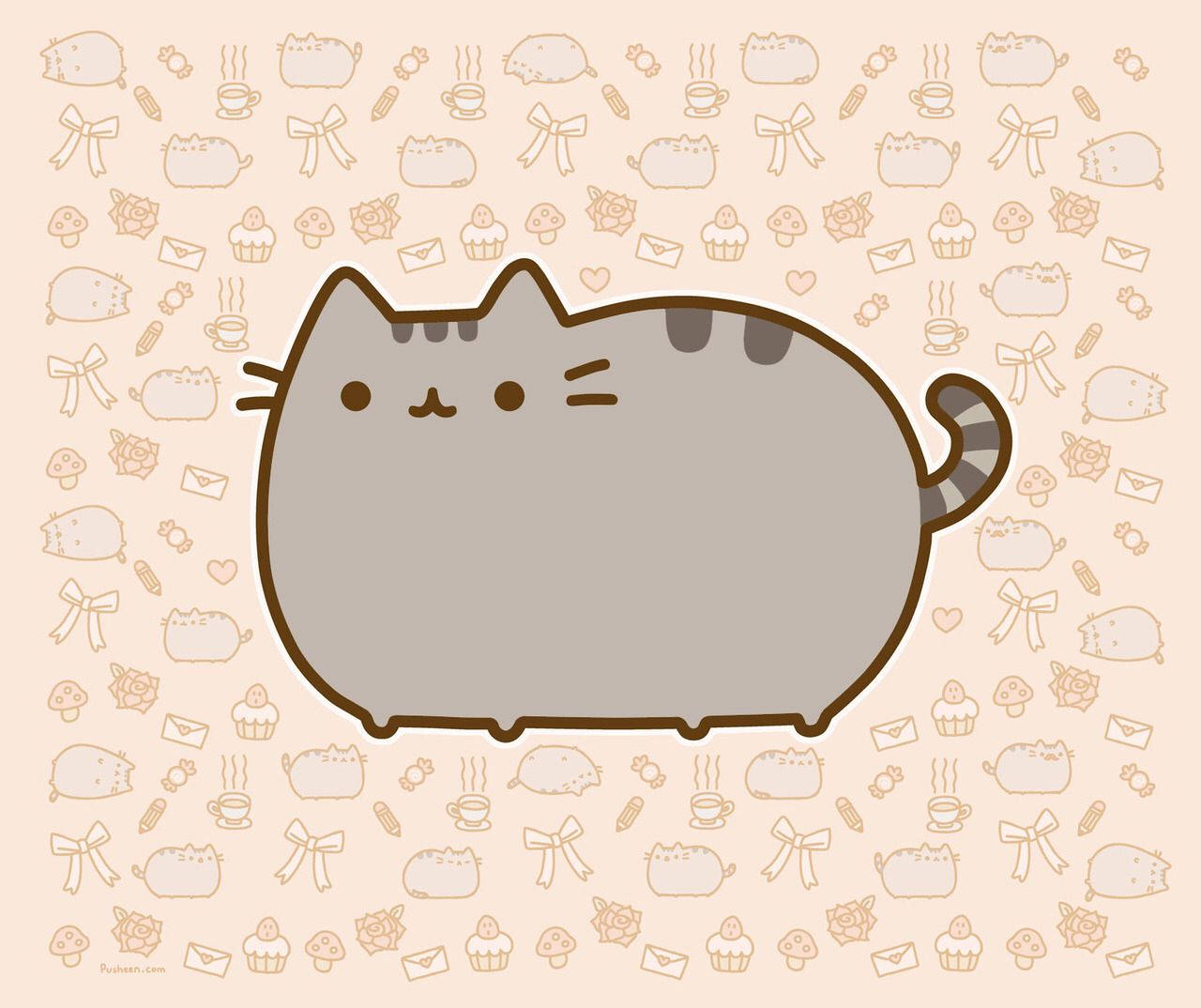 Cute Ipad Pusheen Cat Background