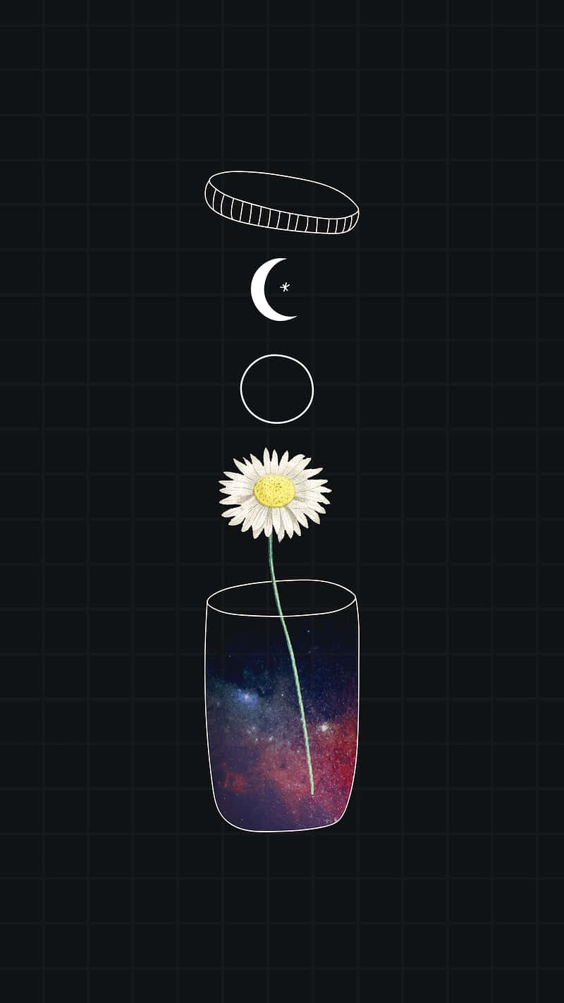 En blomst i et glas med månen og stjernerne i baggrunden. Wallpaper